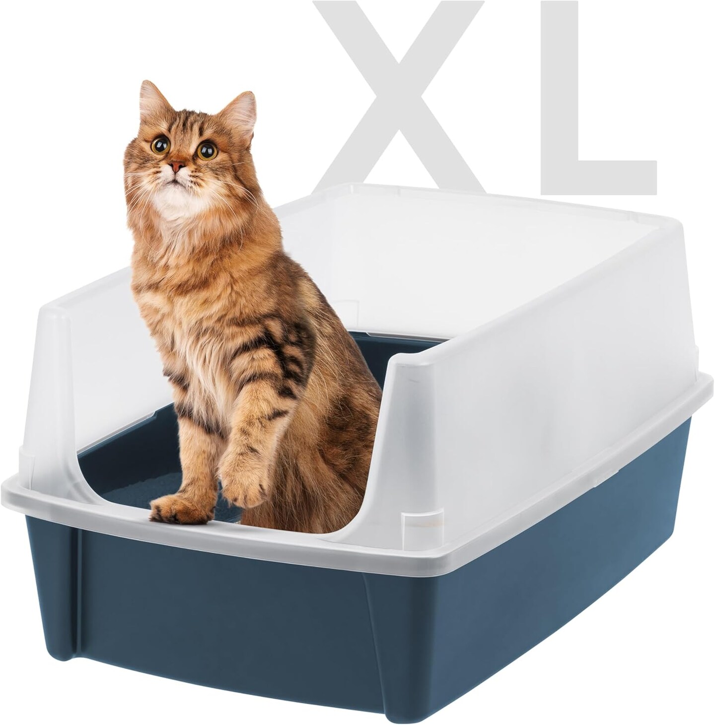 IRIS USA Extra Large Open Top Cat Litter Box with Scatter Shield, Sturdy Easy to Clean Open Air Kitty Litter Pan with Tall Spray