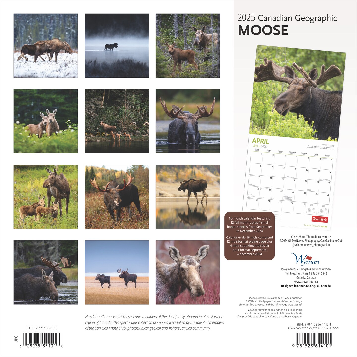 Canadian Geographic Moose OFFICIAL | 2025 12 x 24 Inch Monthly Square Wall Calendar | Wyman Publishing | Elk Deer Wildlife