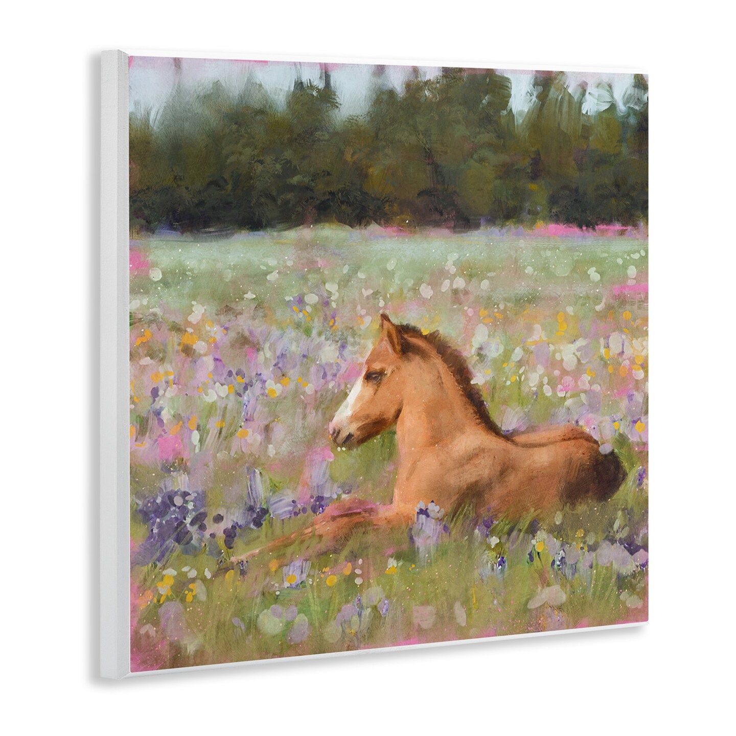 Stupell Industries Foal Horse Lounging Flower Meadow Wall Plaque Art