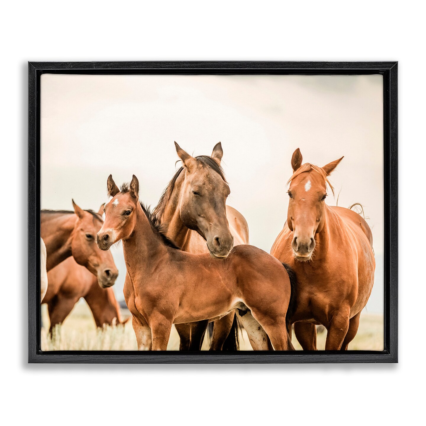 Stupell Industries Horse &#x26; Foals Photography Framed Floater Canvas Wall Art