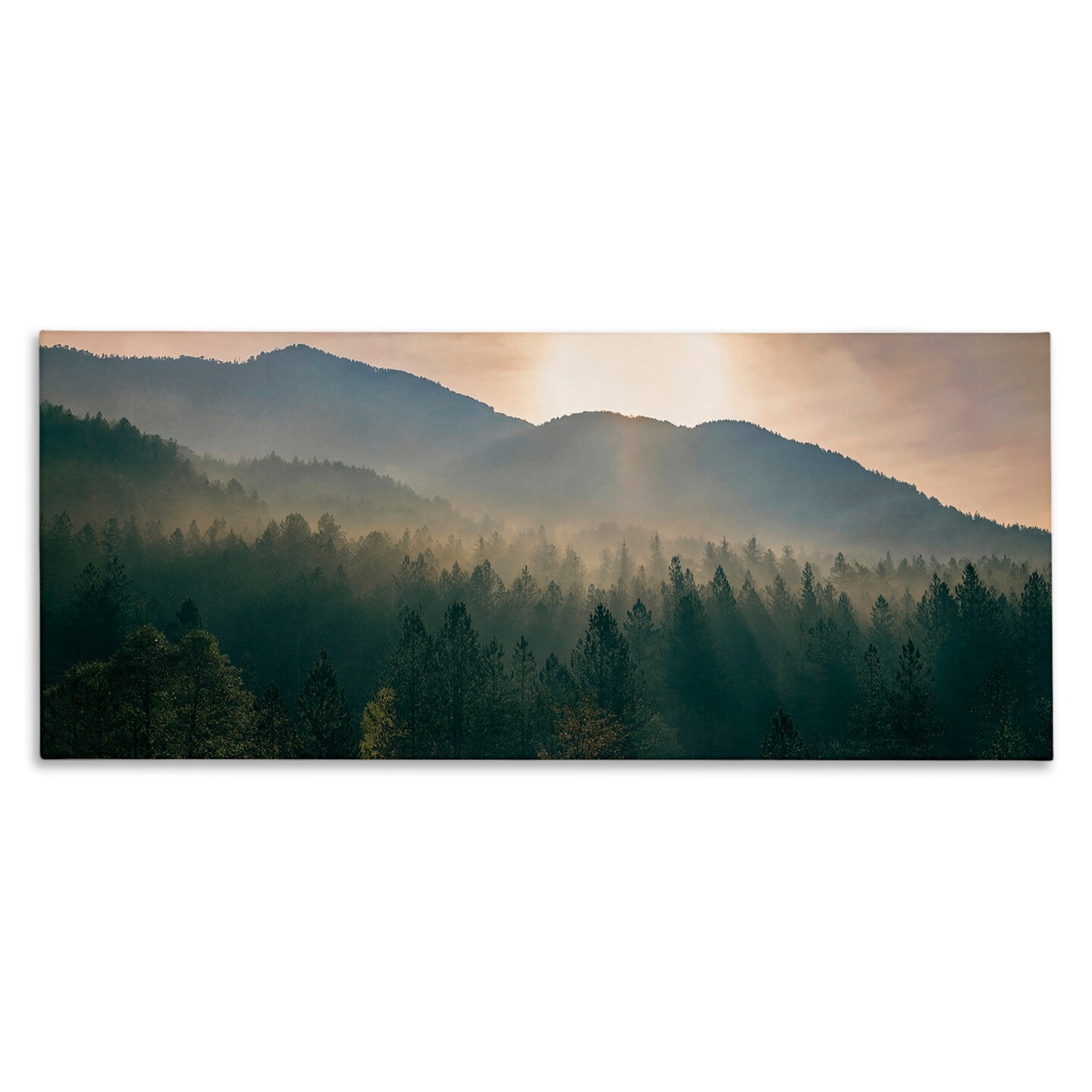 Stupell Industries Morning Sun over Misty Trees Canvas Wall Art