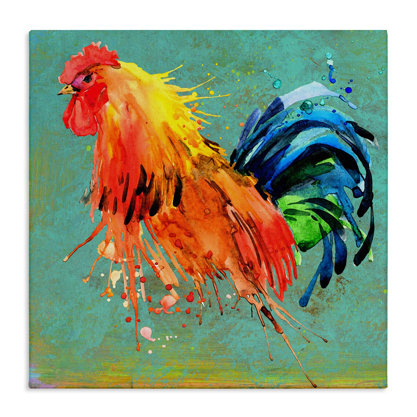 Stupell Industries Urban Abstract Rooster Splash Canvas Wall Art