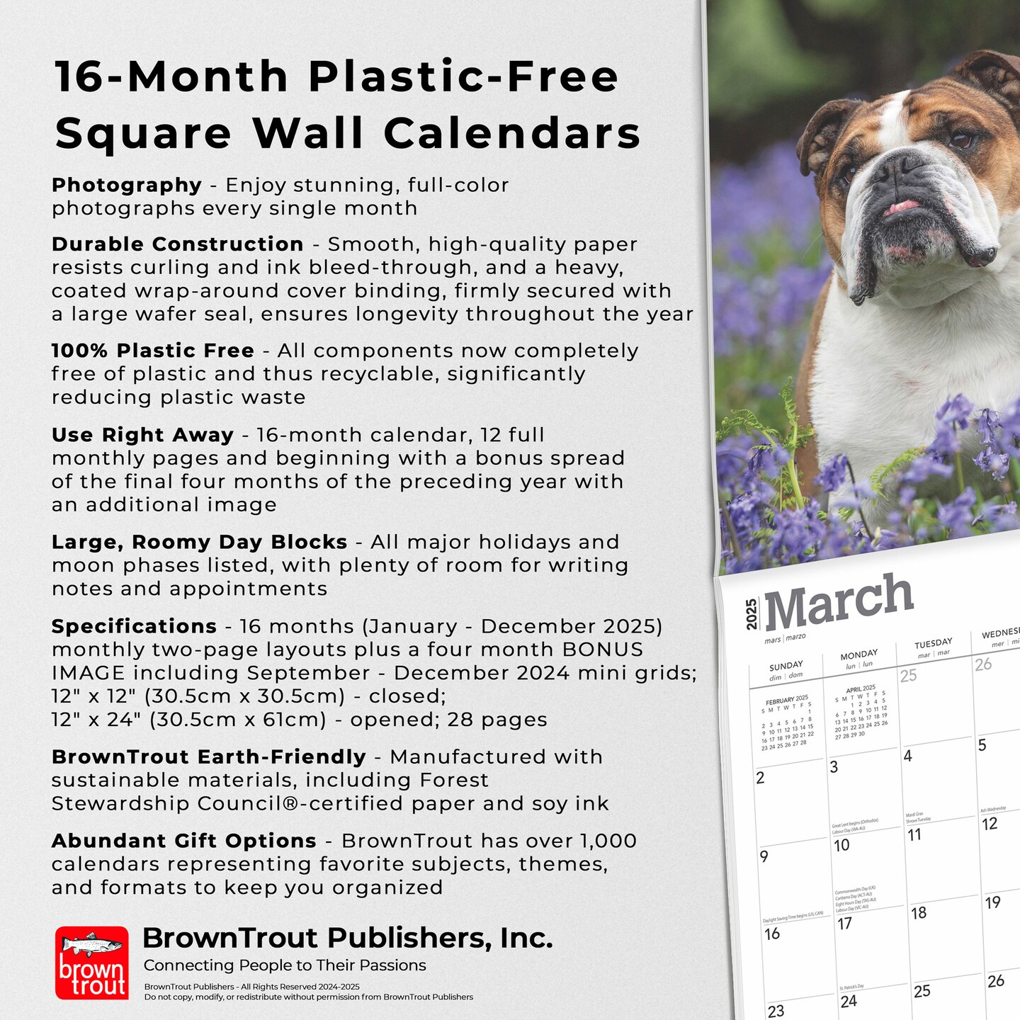 English Bulldogs | 2025 12 x 24 Inch Monthly Square Wall Calendar | Plastic-Free | BrownTrout | Animals Dog Breeds