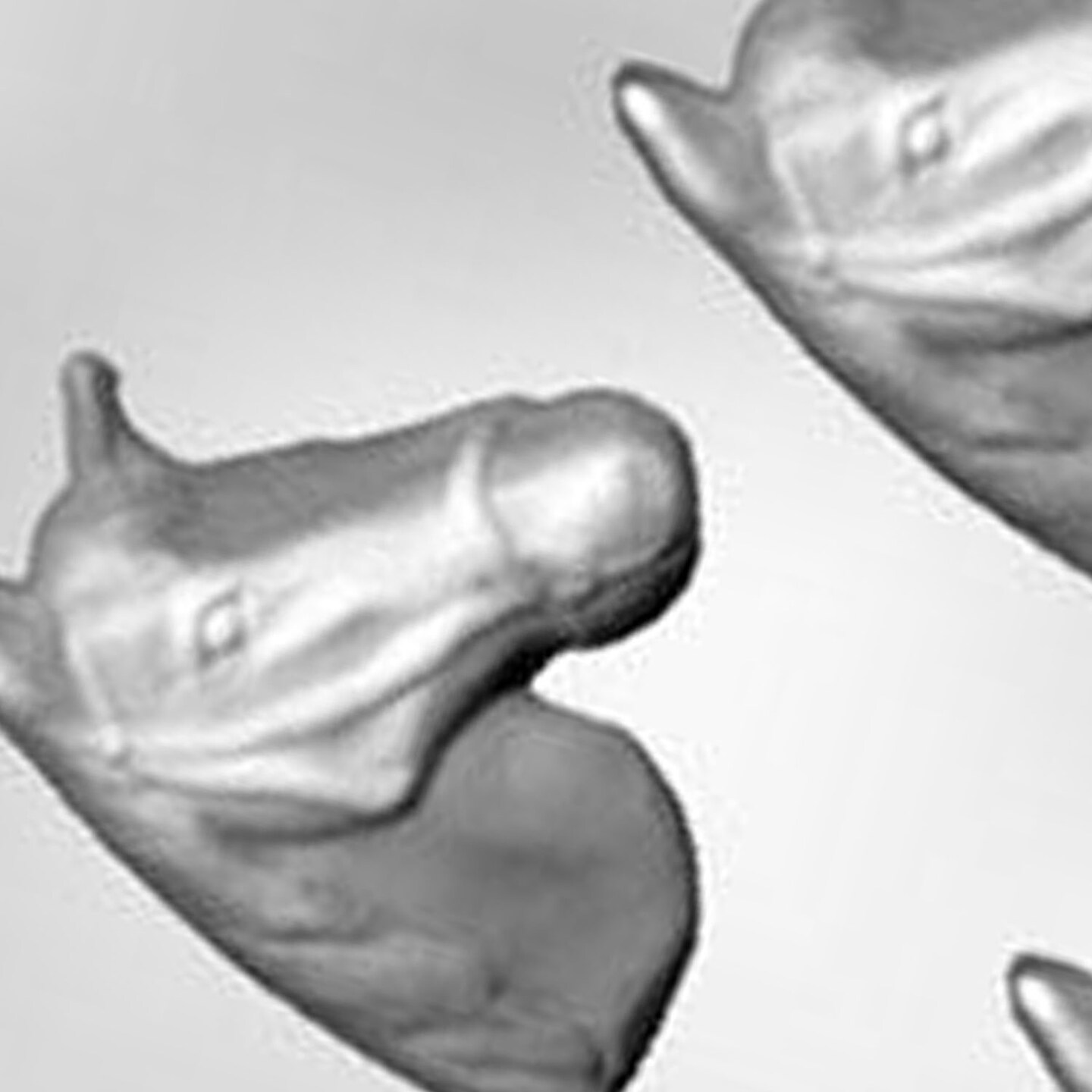 Horse Head Chocolate Mold