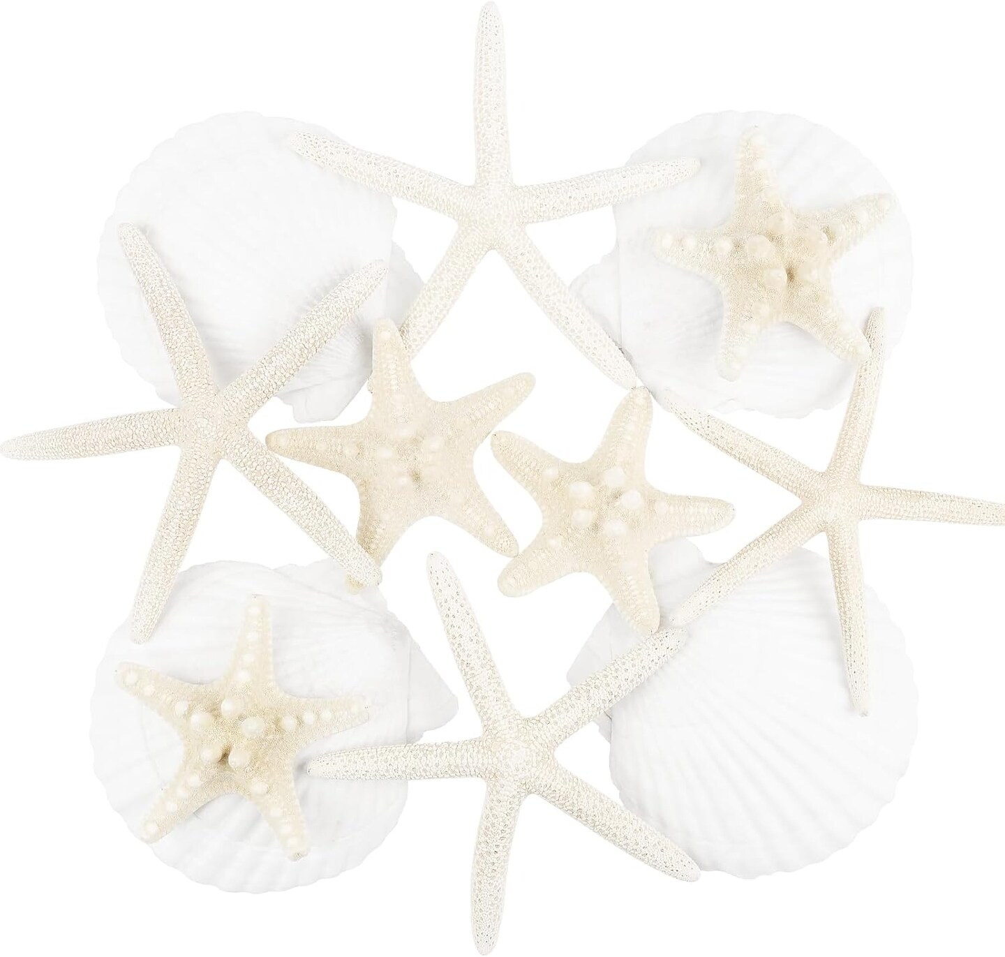 12 PCS Large Starfish and Large Scallop Shells, 2"-5" Natural White Seashells for Crafts Wedding Decor Beach Theme Party, Fish Tank and Vase Filler
