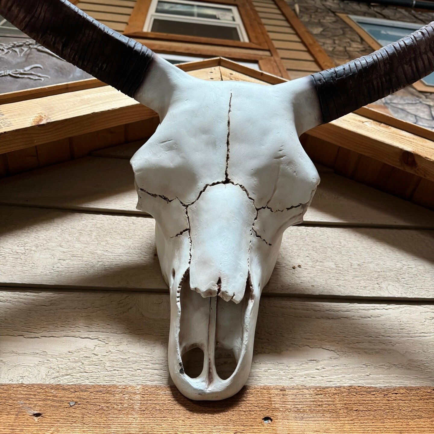 Small Bull Skull Life Size Statue