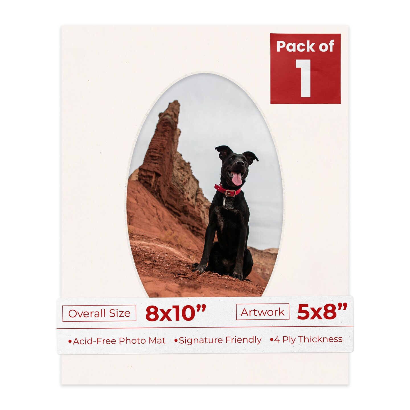 Silver Mist Mat Board for 8x10 Frames - Oval Opening for 5x8 Photos