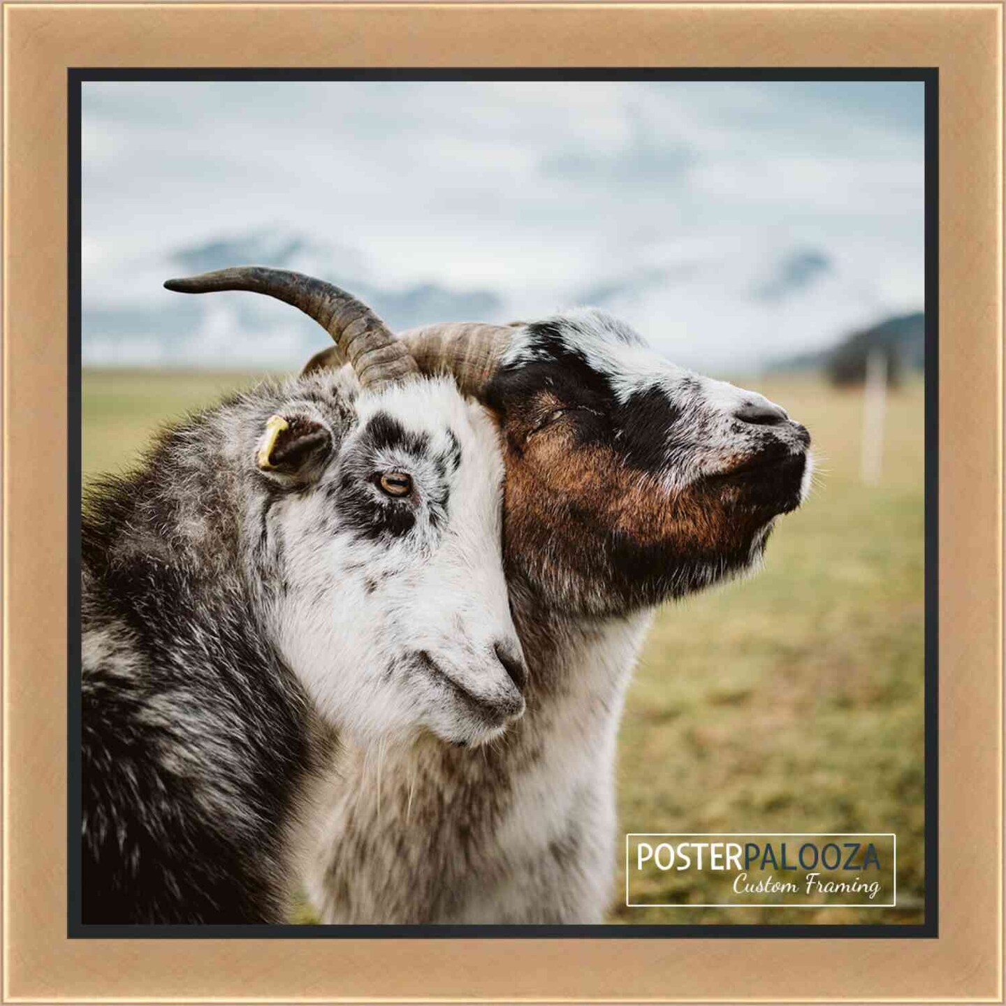 Square Simple Gold Picture Frame - UV Acrylic, Foam Board Backing, Hanging Hardware