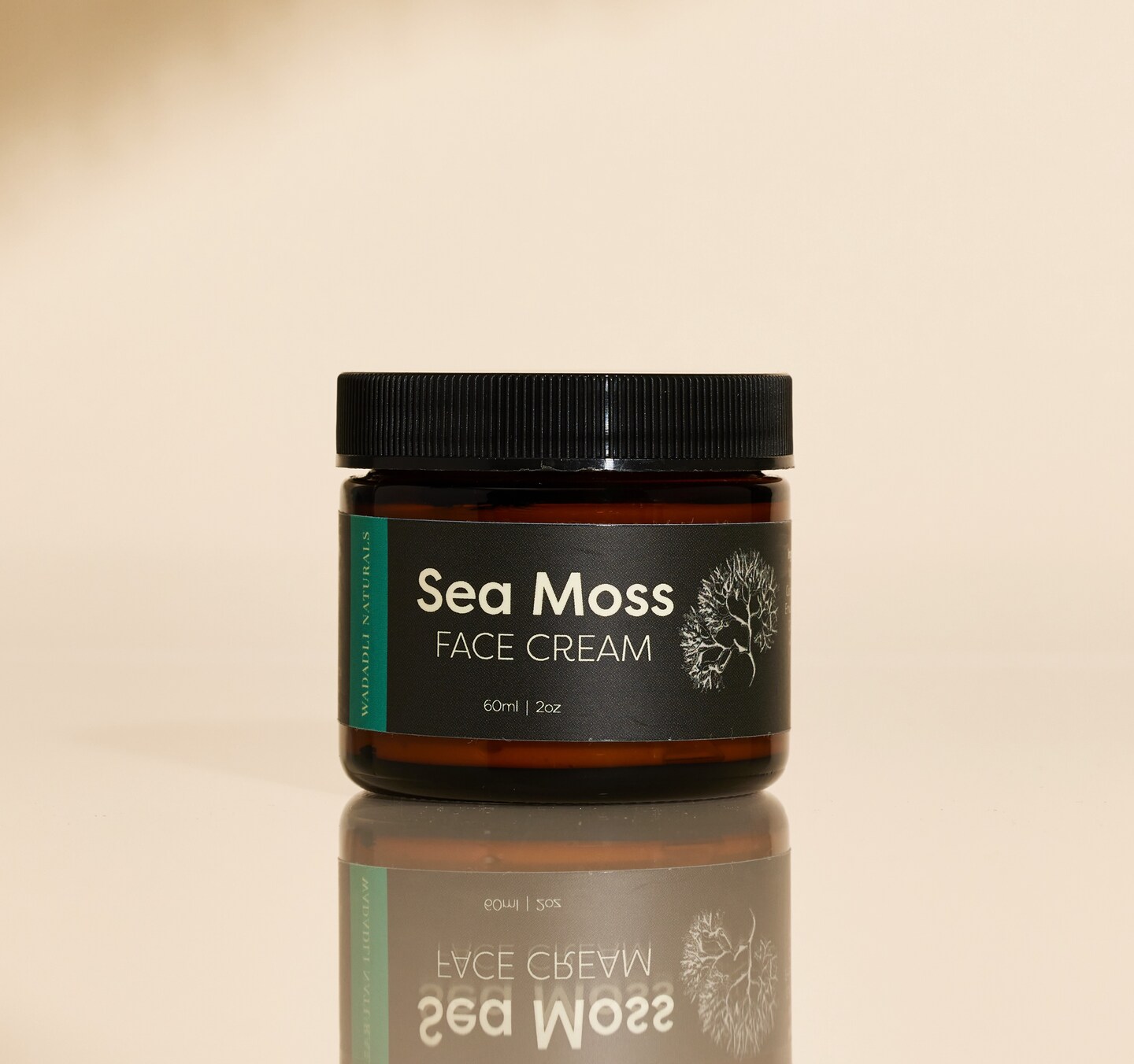 Sea Moss Face Cream | MakerPlace by Michaels
