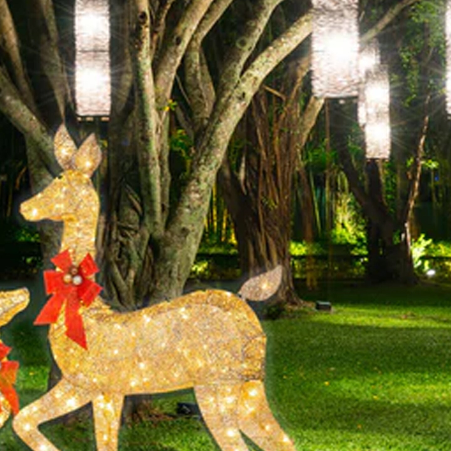 3 Piece Large Lighted Christmas Deer