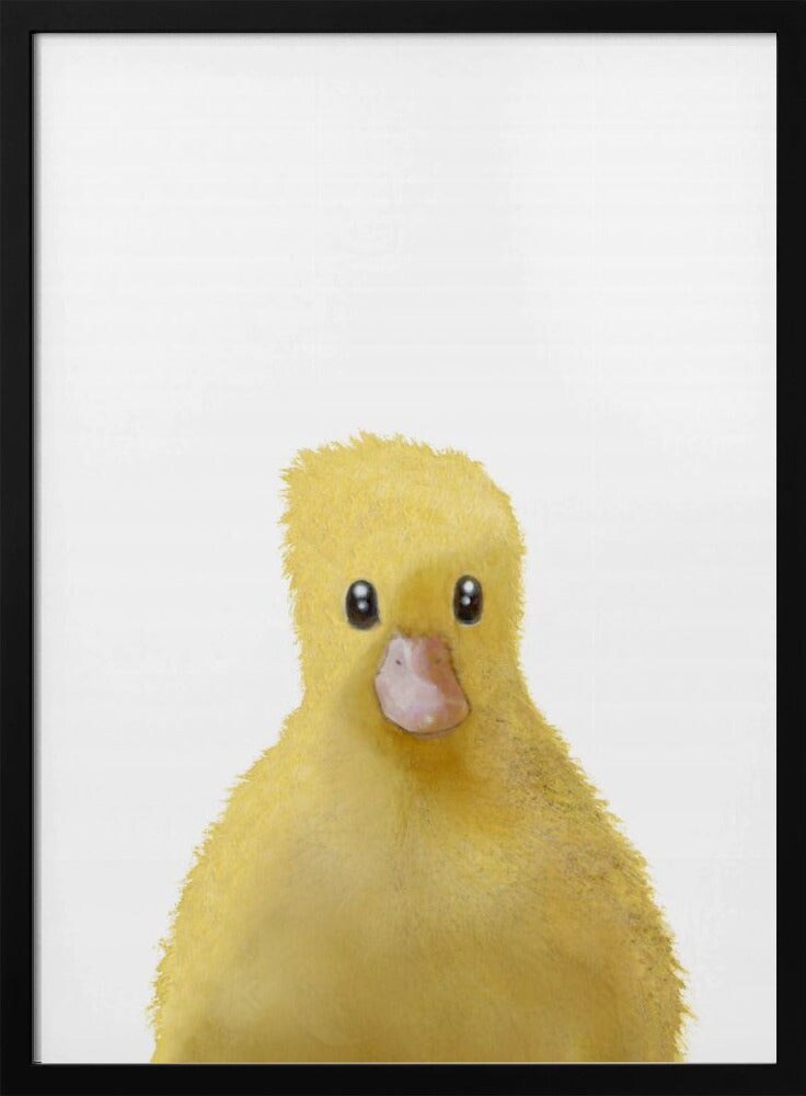 Duck - Pictufy Studio II 24x36 Black Framed Art | Home or Office Art