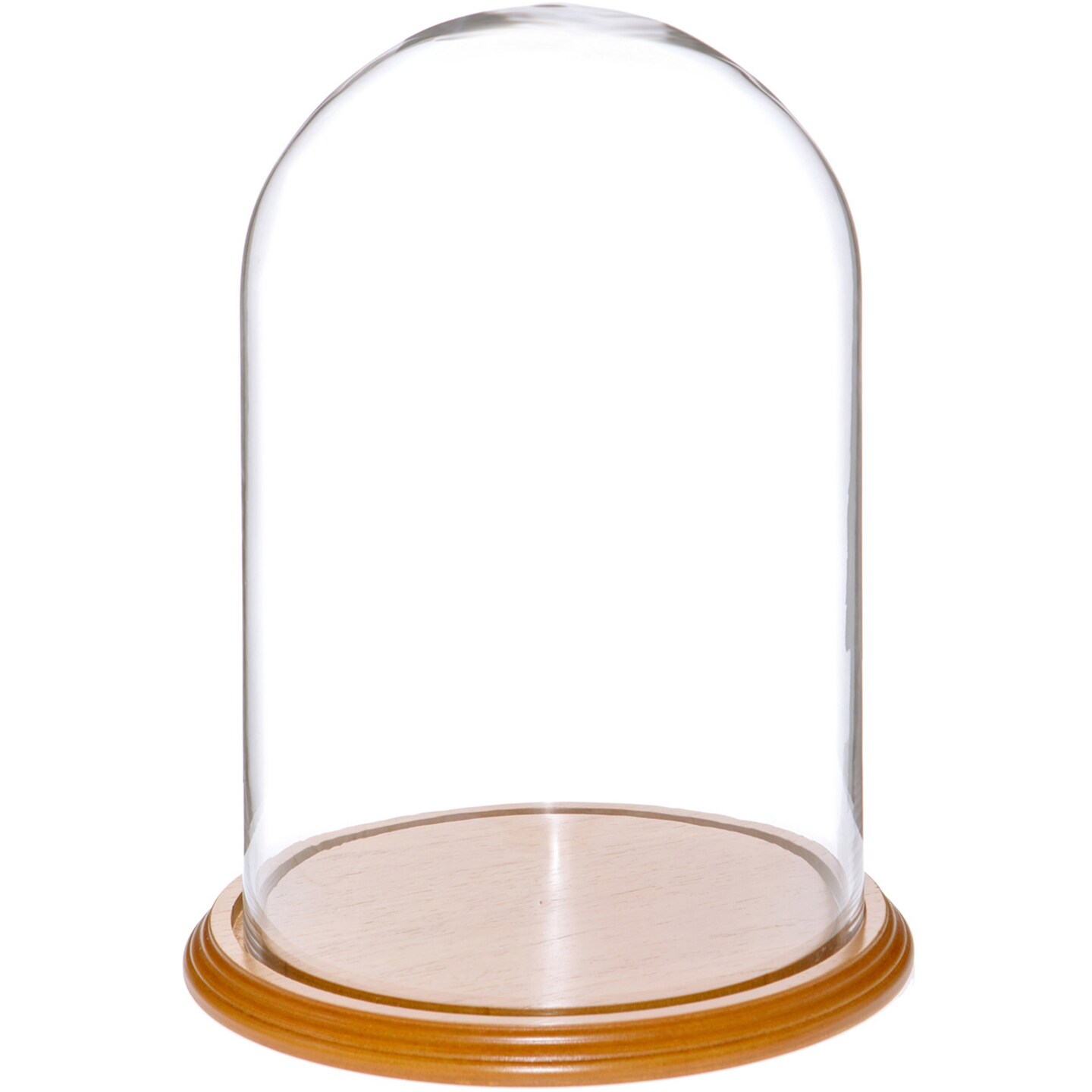 Plymor 8&#x22; x 12&#x22; Glass Display Dome Cloche
