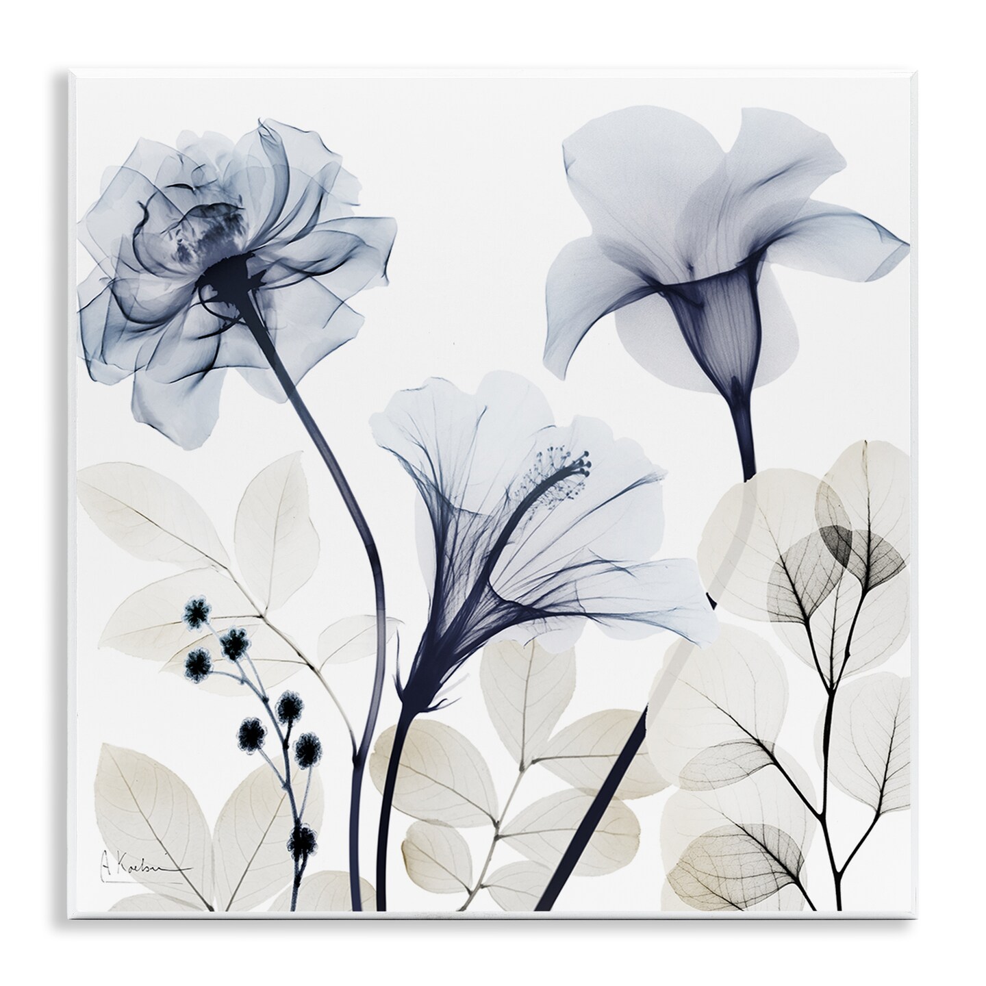 Stupell Industries Sophisticated Minimal Flowers Wall Plaque Design by Albert Koetsier