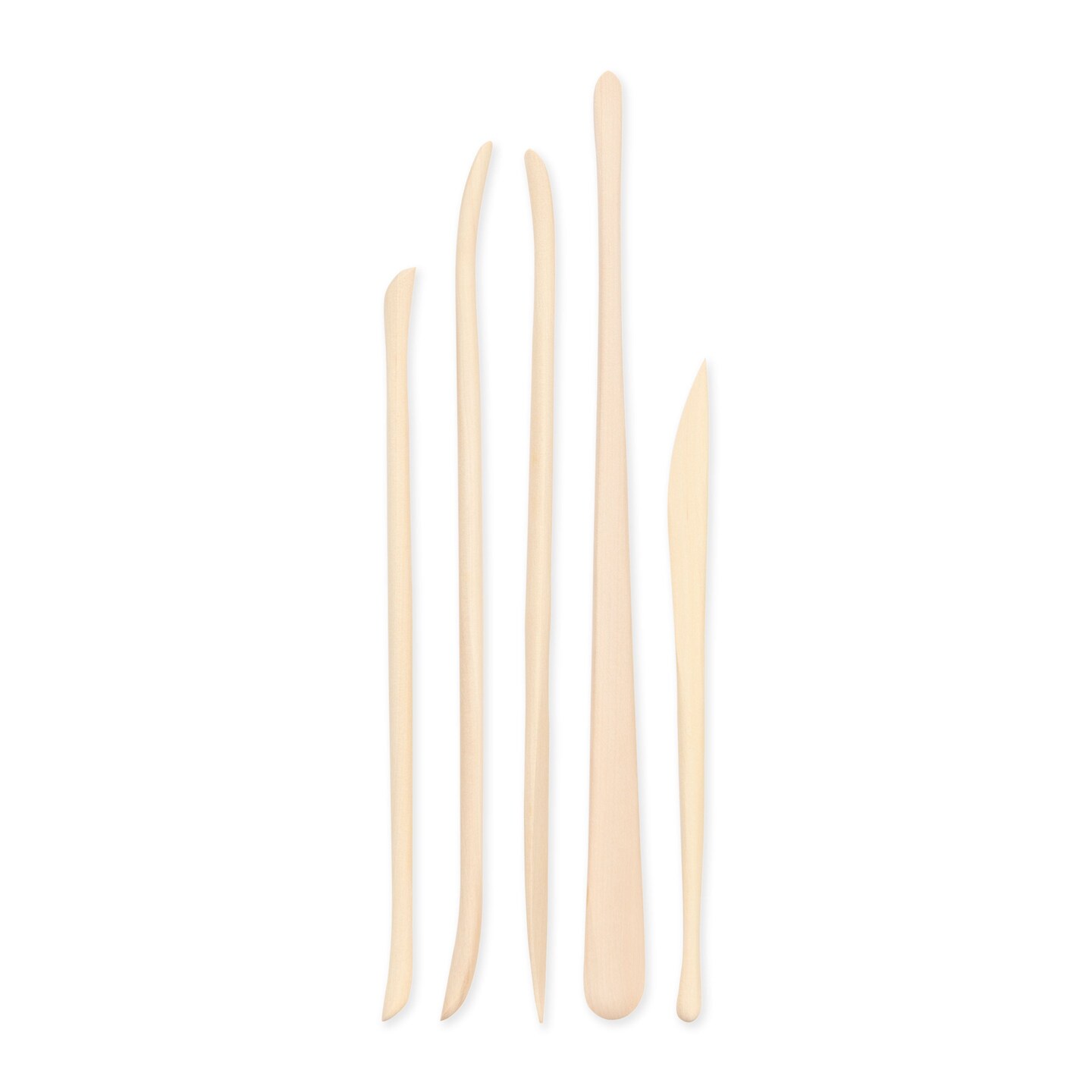 RSET-POT10 | 5pc Micro Sculpting Tools Set