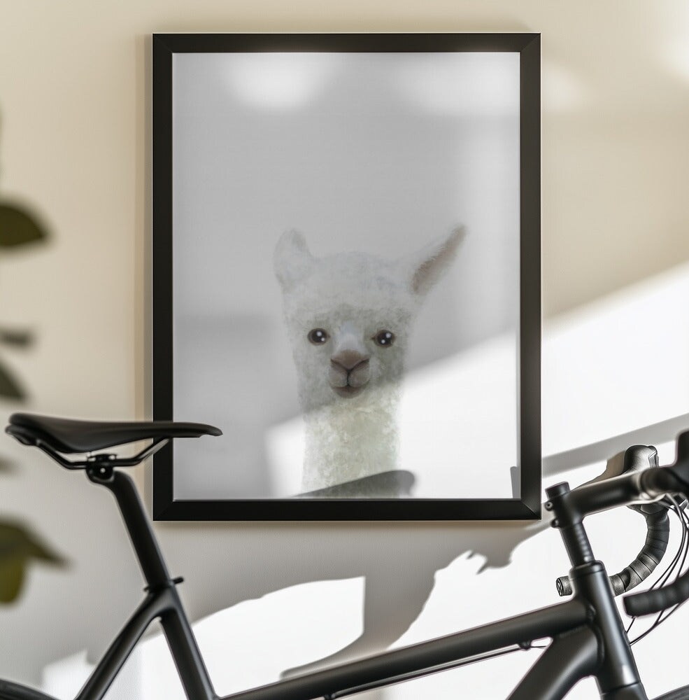 Llama - Pictufy Studio II 24x36 Black Framed Art | Home or Office Art