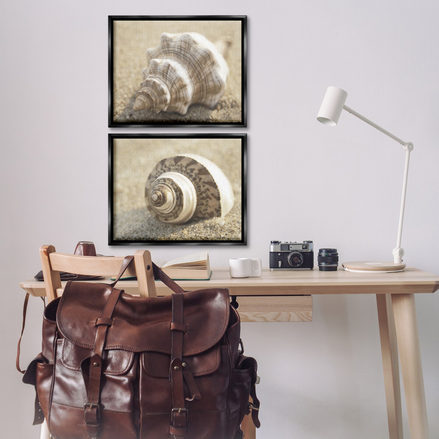 Stupell Industries Neutral Tone Sea Life 2pc Floating Frame Set Design by Dora Rotondella