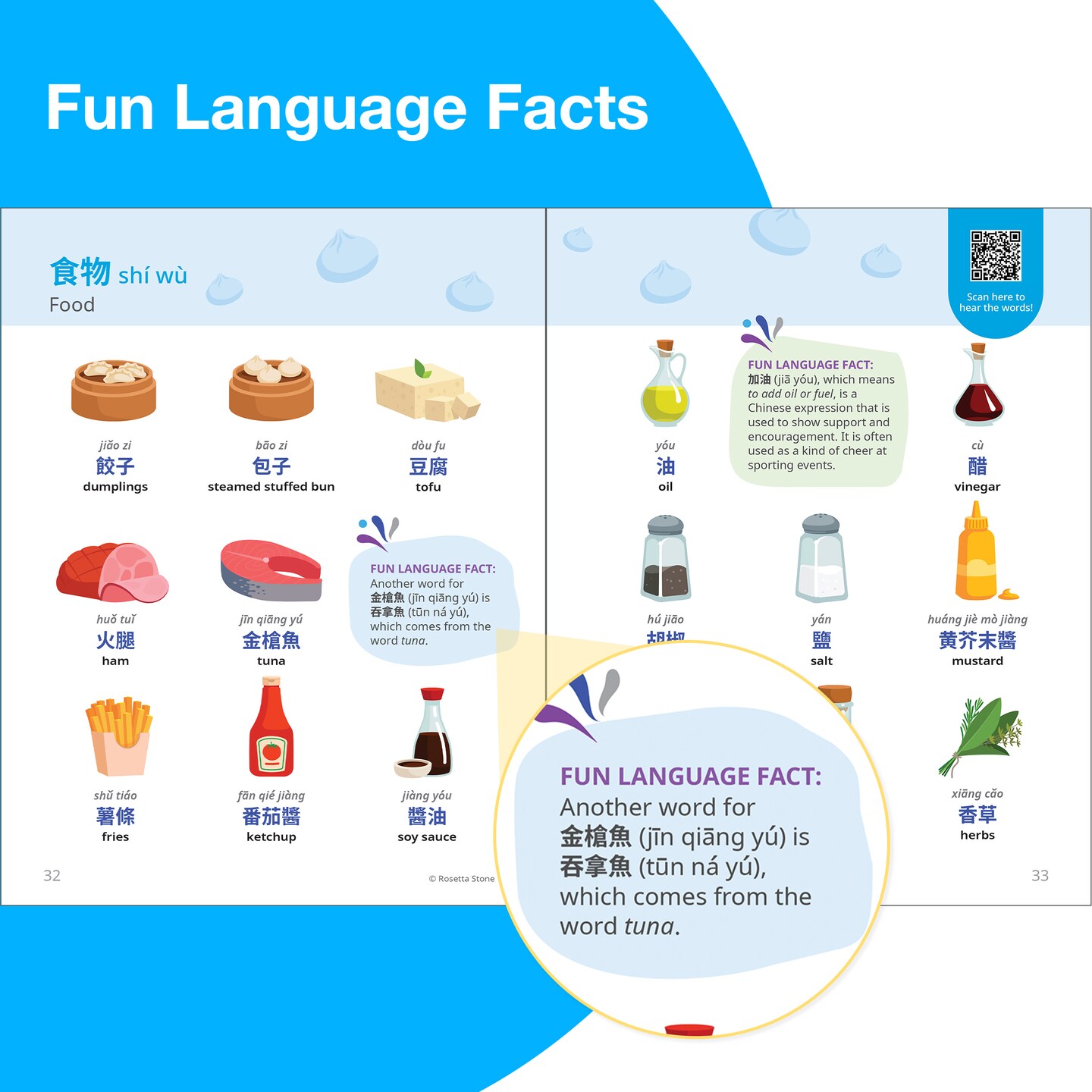 Rosetta Stone Mandarin Chinese Picture Dictionary (Traditional), Chinese Dictionary to Learn Chinese Vocabulary and Phrases, Dictionary for Kids and Adults, Mandarin Chinese English Dictionary