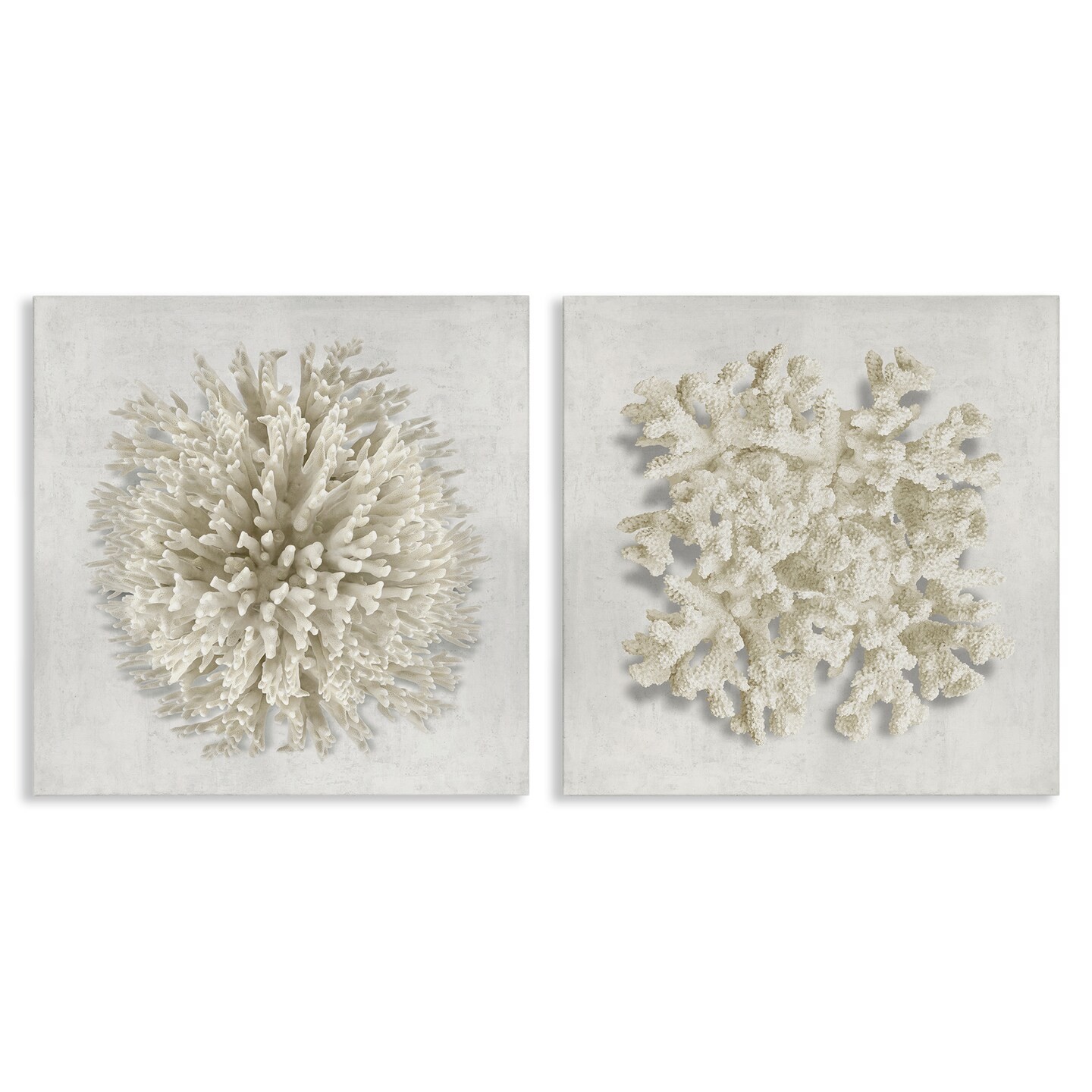 Stupell Industries Distinct Natural Coral 2pc Canvas Set Design by ...