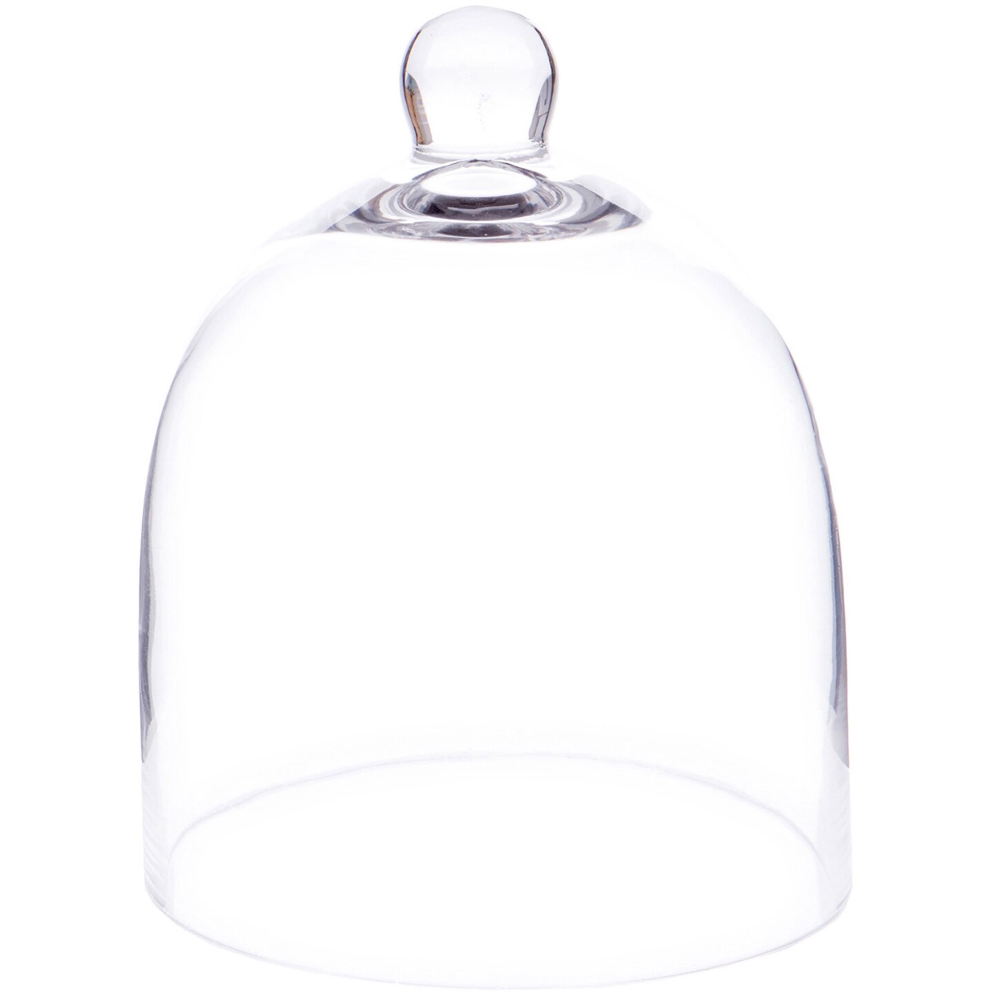 Plymor Bell Jar Glass Display Dome Cloche