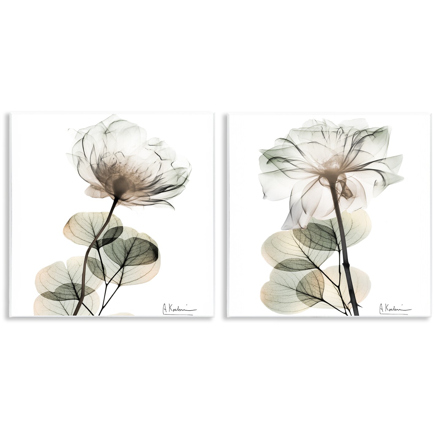 Stupell Industries Cream Transparent Floral 2pc Wall Plaque Set Design by Albert Koetsier