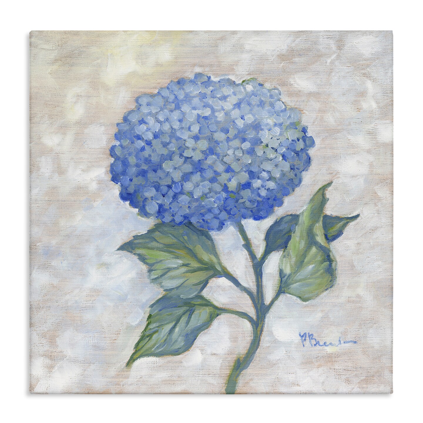 Stupell Industries Traditional Blue Hydrangea Bloom Canvas Design by Paul Brent