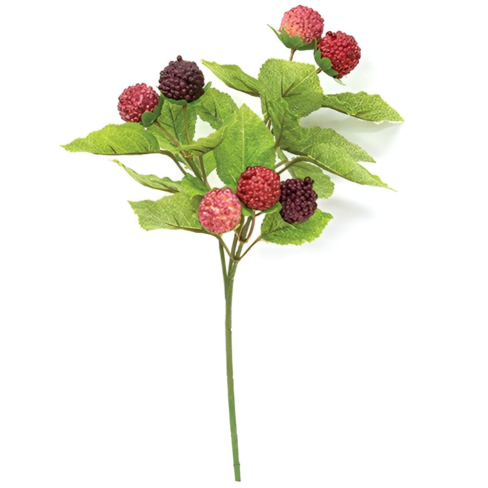Fresh Raspberry Pick Stem for Wreaths and Floral Arrangements 10.5 Inches