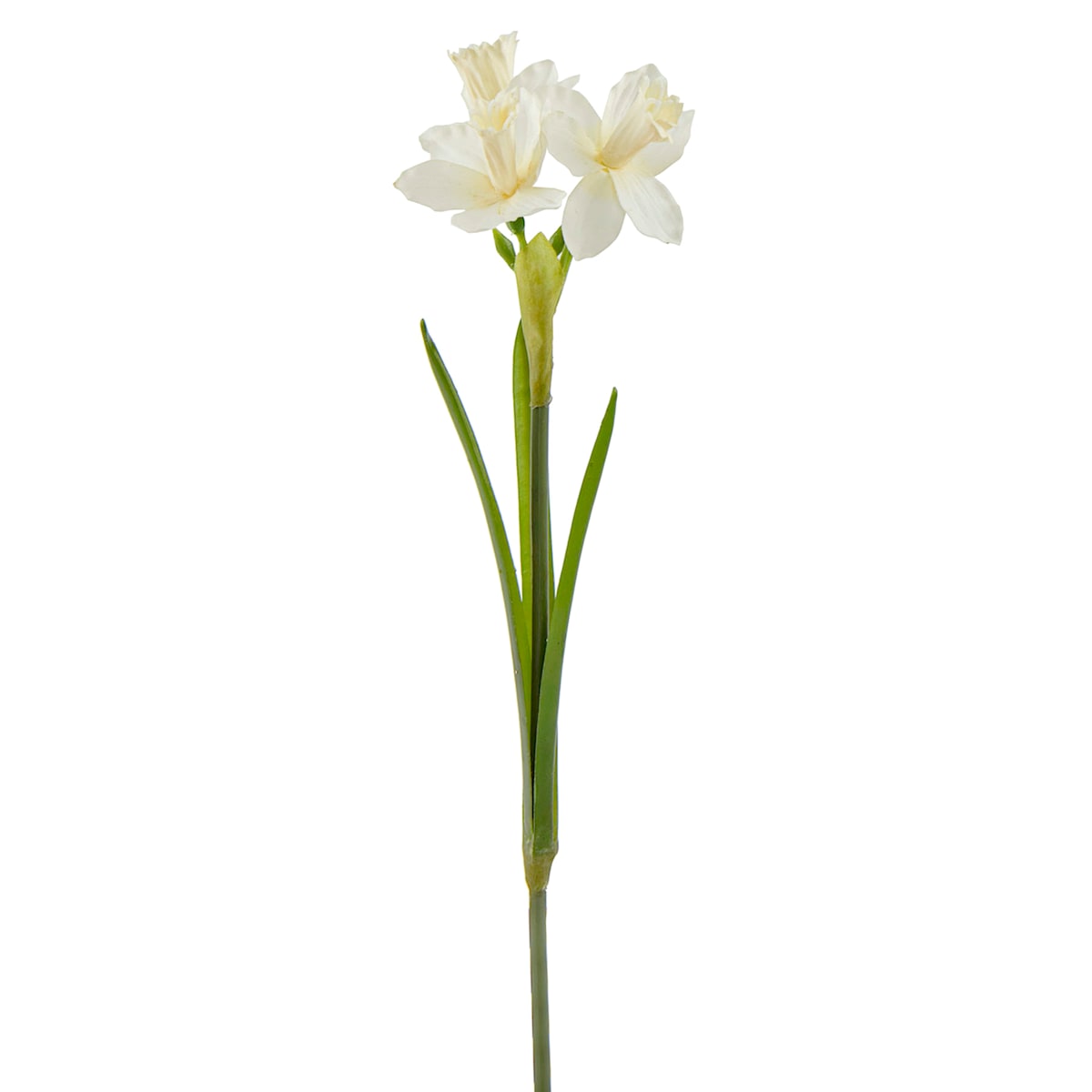 20.5&#x22; Natural Touch White Daffodils
