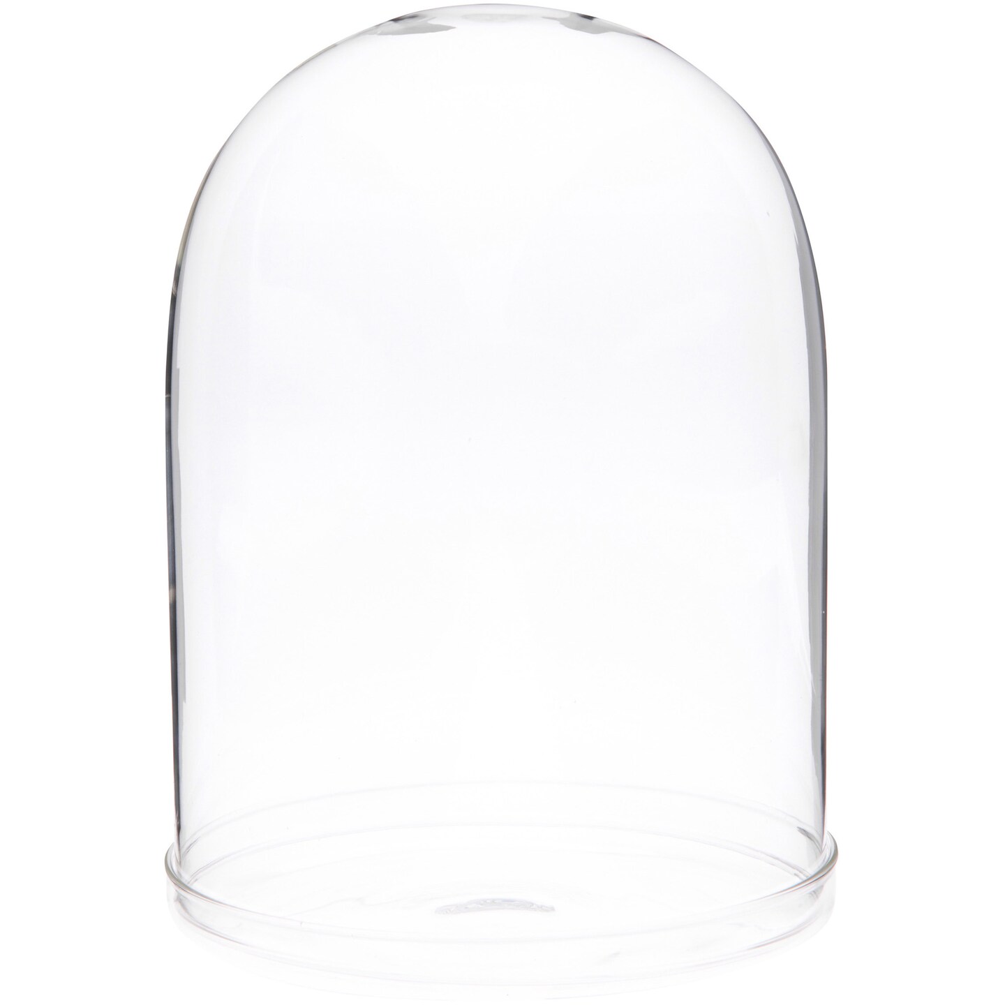 Plymor 5.5" x 8" Glass Display Dome Cloche (Clear Glass Tray Base)