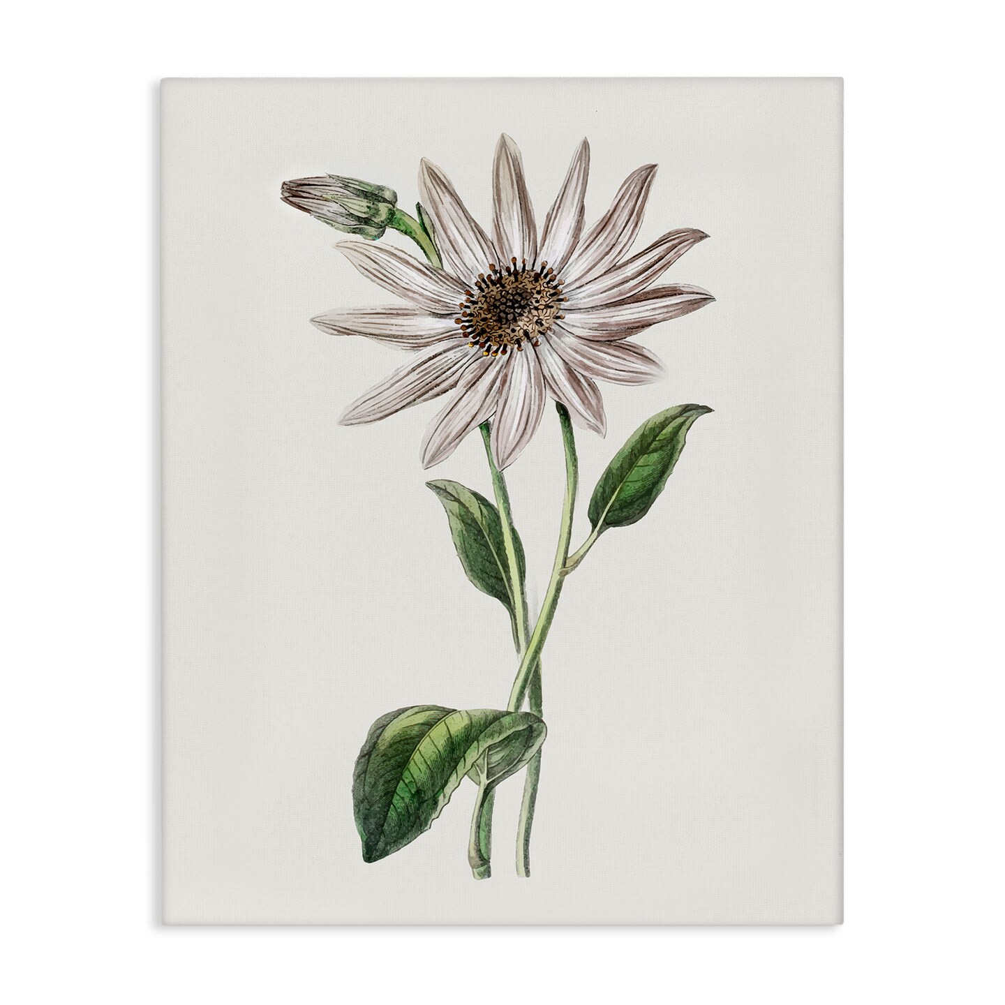 Stupell Industries Vintage Mum Sprig Canvas Design by CAD Designs