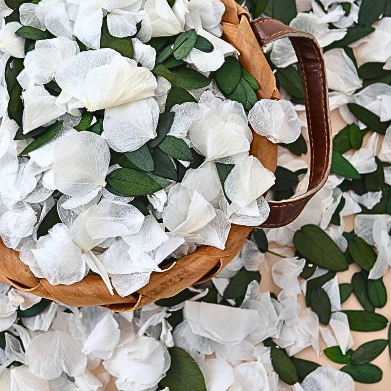 Real Dried Ivory White Hydrangea Flower &#x26; Eucalyptus Petals - 3000+ Natural Fragrant Confetti for Wedding, Flower Girl Baskets, Aisle Decor, Scented Sachets, Spring Potpourri Bags, Air Freshener
