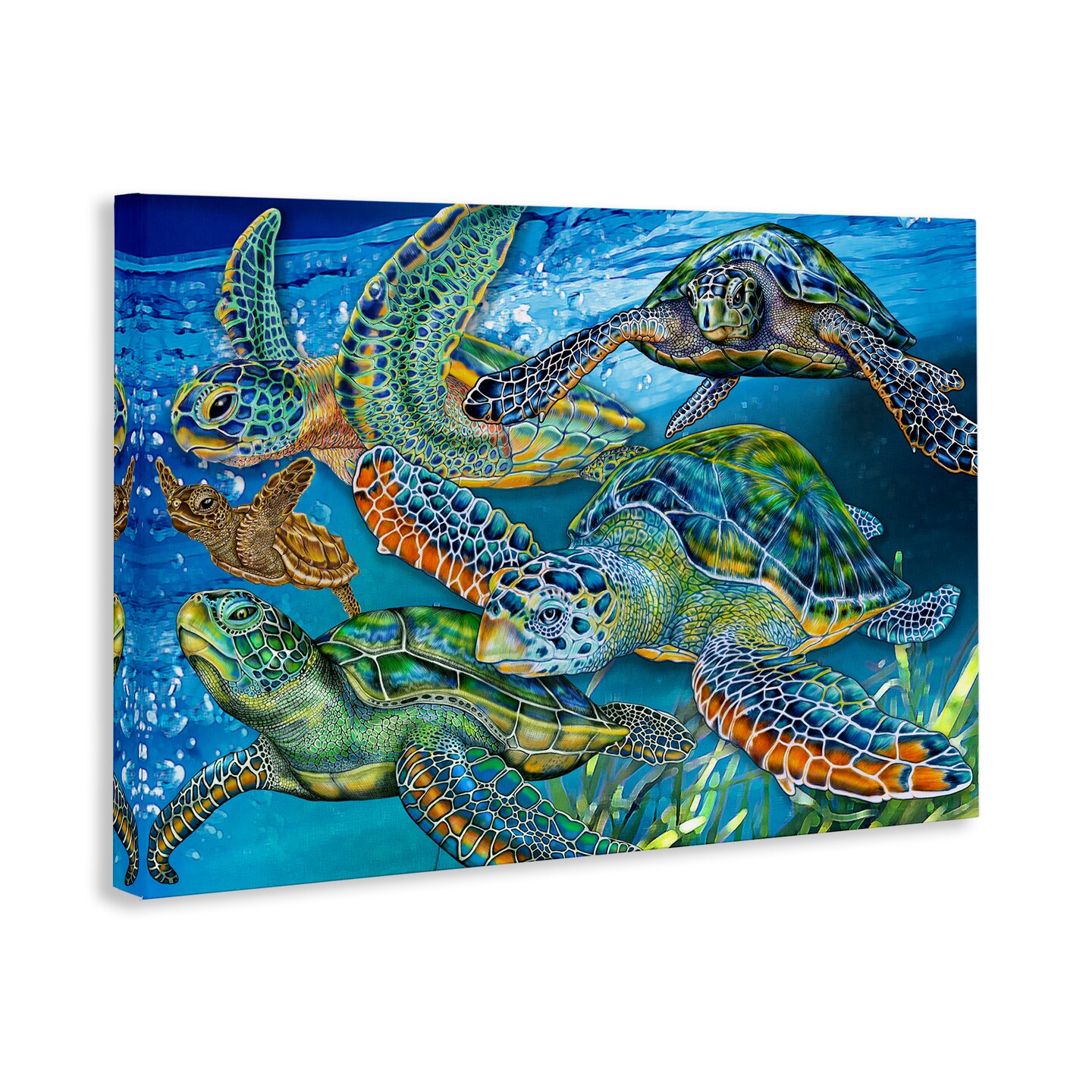 Stupell Industries Tortoise Family Underwater Swim Canvas Design by Tim Jeffs