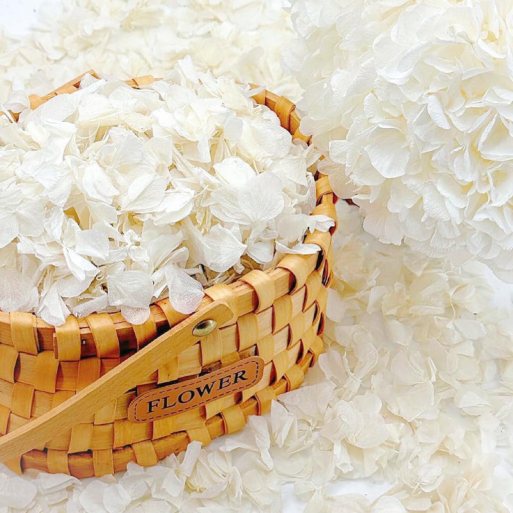 500 Pcs Exquisite White Rose Petals, Emulation Silk Rose Petals, Artificial Flower Petal