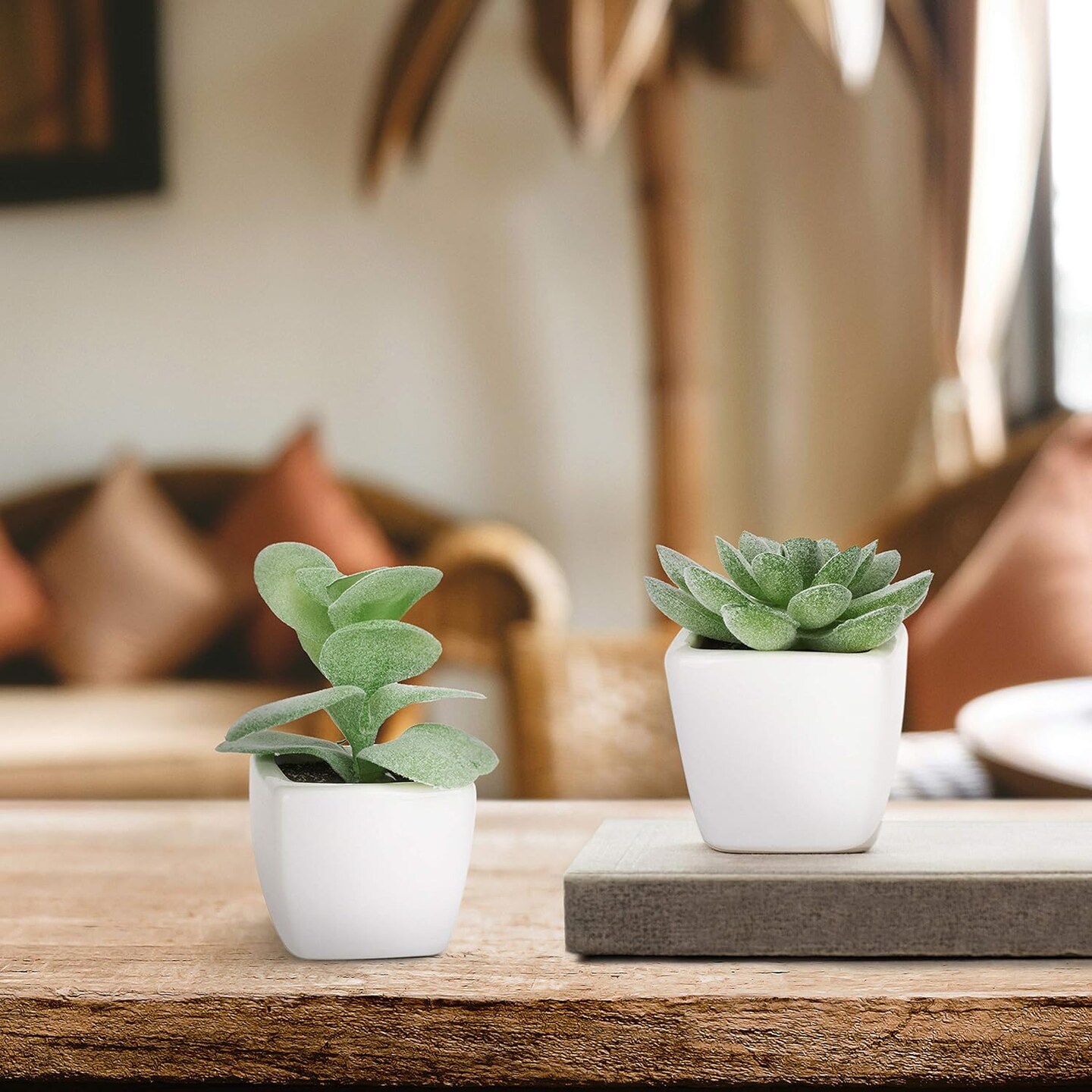 Set of 4 Mini Artificial Succulent Plants in Square White Ceramic Pots – Faux Green Succulents with Moss Soil for Home, Office, Desk, Shelf & Tabletop Decor