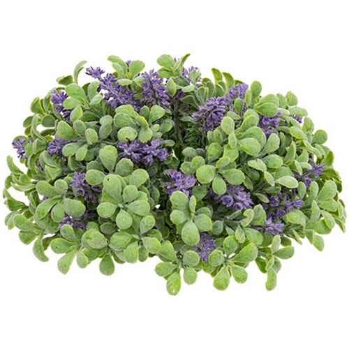 Decorative Green Purple Sage Boxwood Half Orb 10 Inch Plant Centerpiece Set of 3