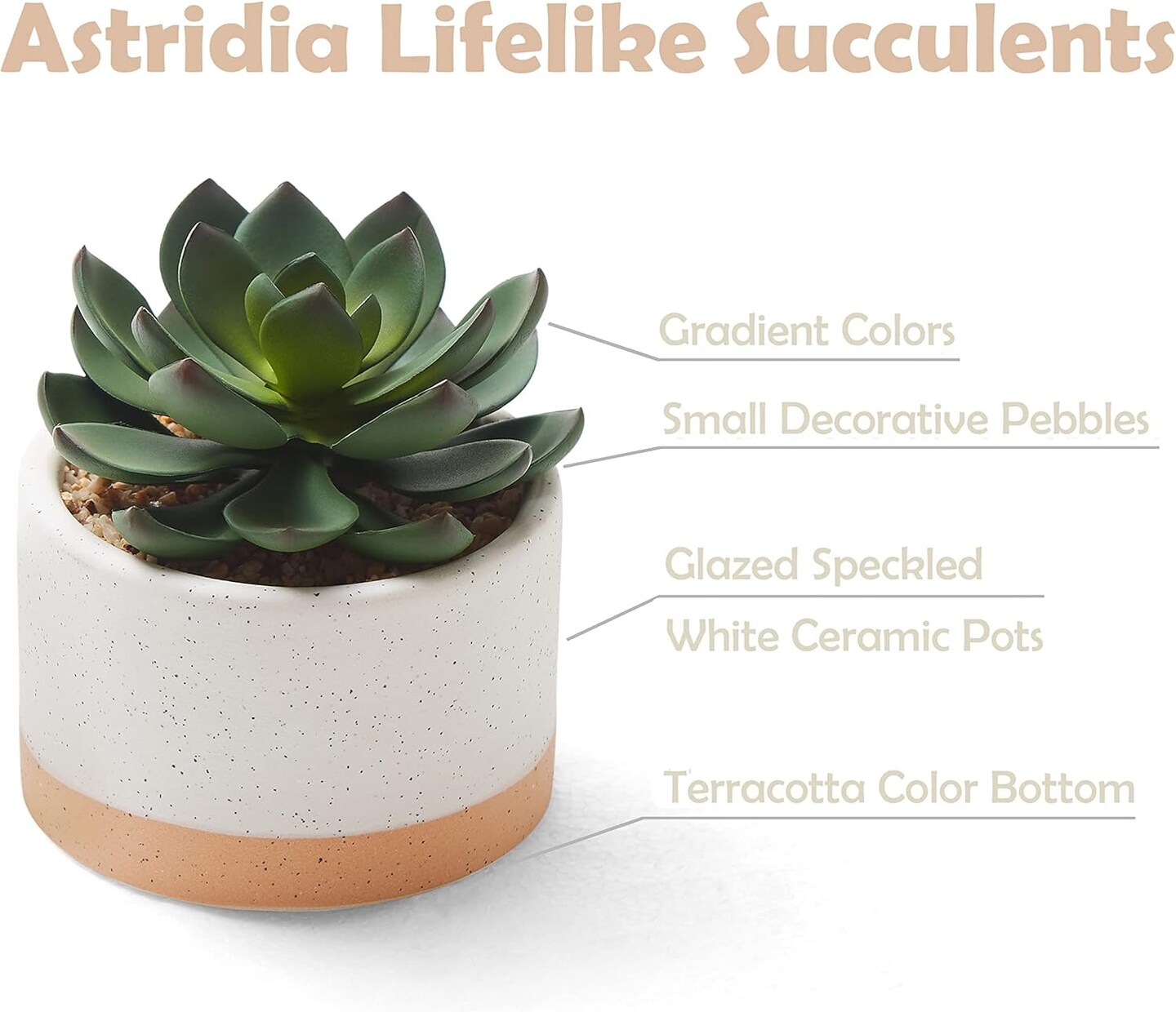 Set of 3 Artificial Succulents in Ceramic Pots – Faux Small Potted Cactus Plants for Home Decor, Bedroom, Office Desk, Living Room & Shelf Decoration