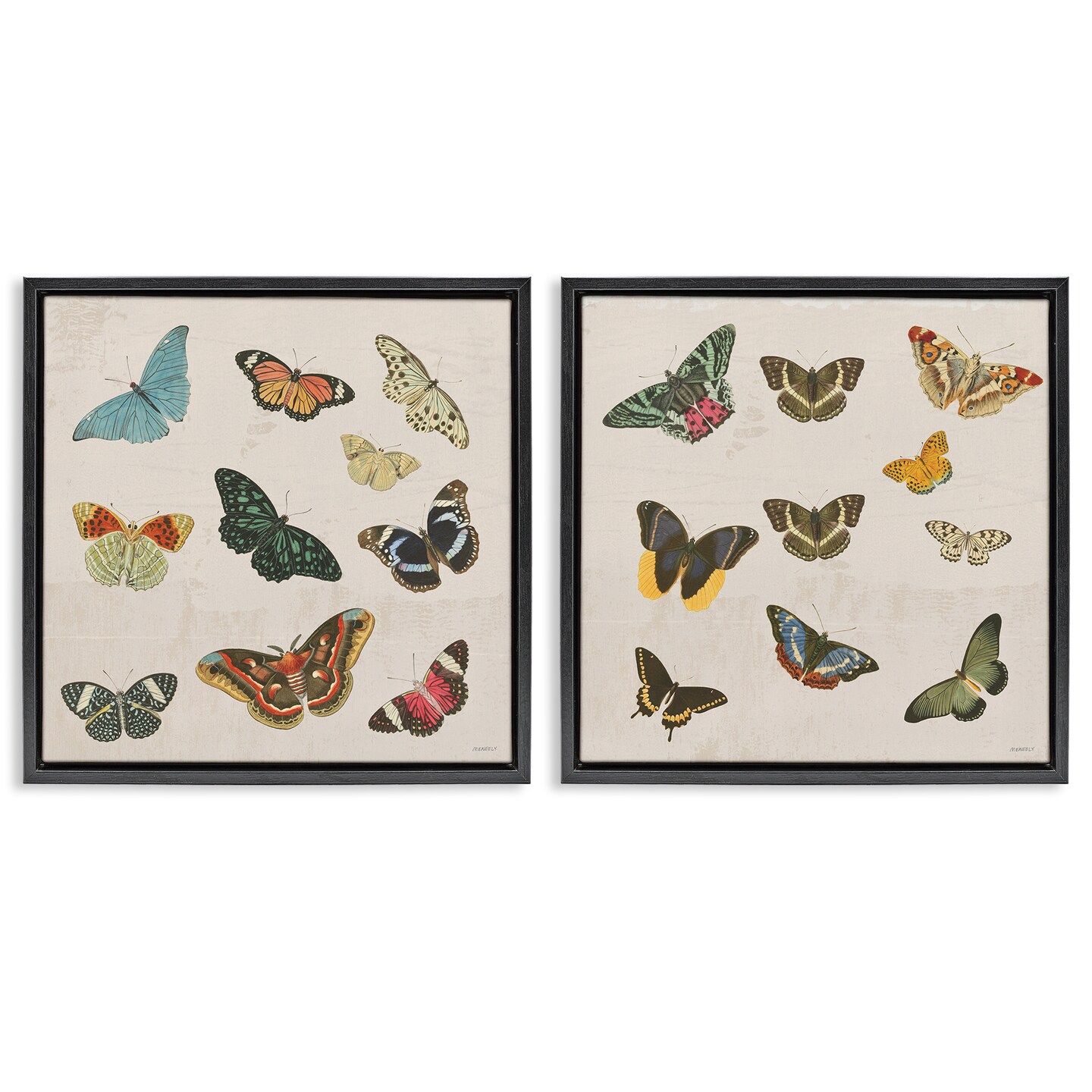 Stupell Industries Collection of Vintage Butterflies 2pc Floating Frame Set, design by Dan Meneely