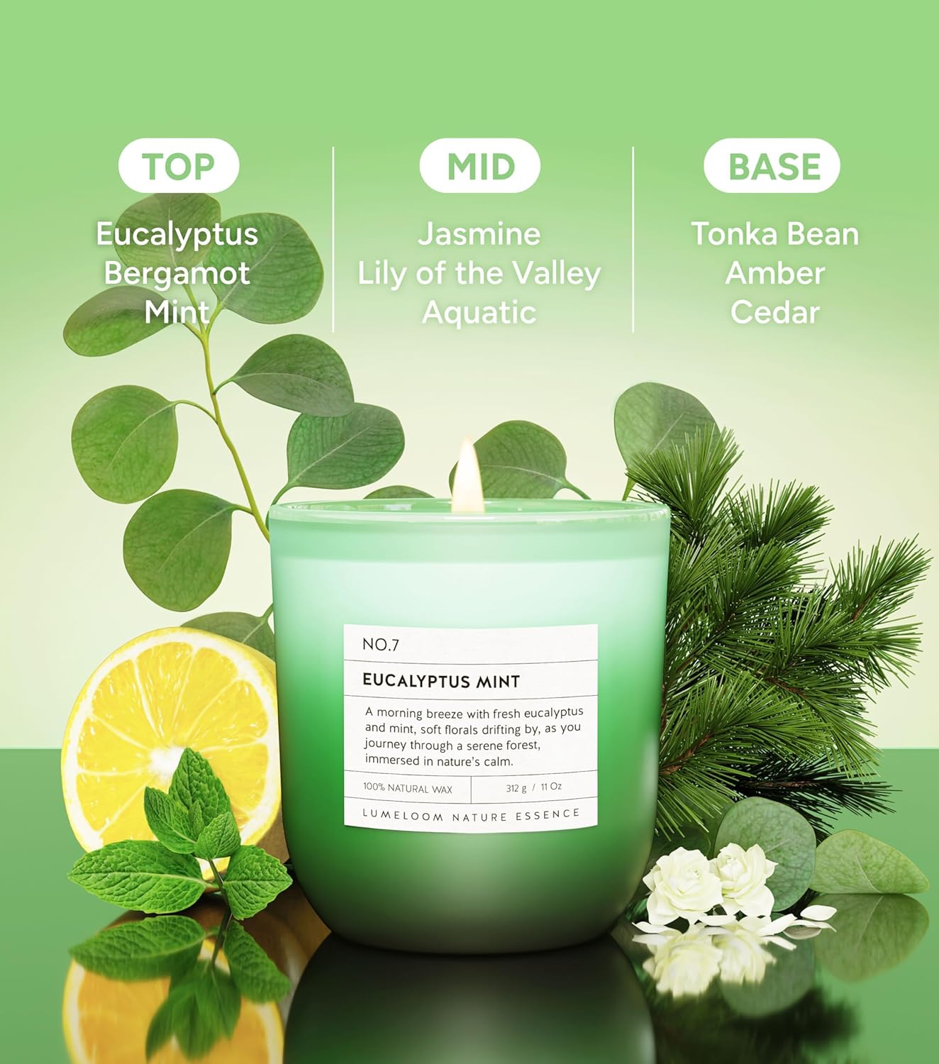 Eucalyptus & Mint Scented Candle, 11oz Aromatherapy Soy Wax Candles for Home Scented, Long Lasting, Eucalyptus & Mint Scent Gift for Home, Women, Men, Friends, Stress Relief, Meditation