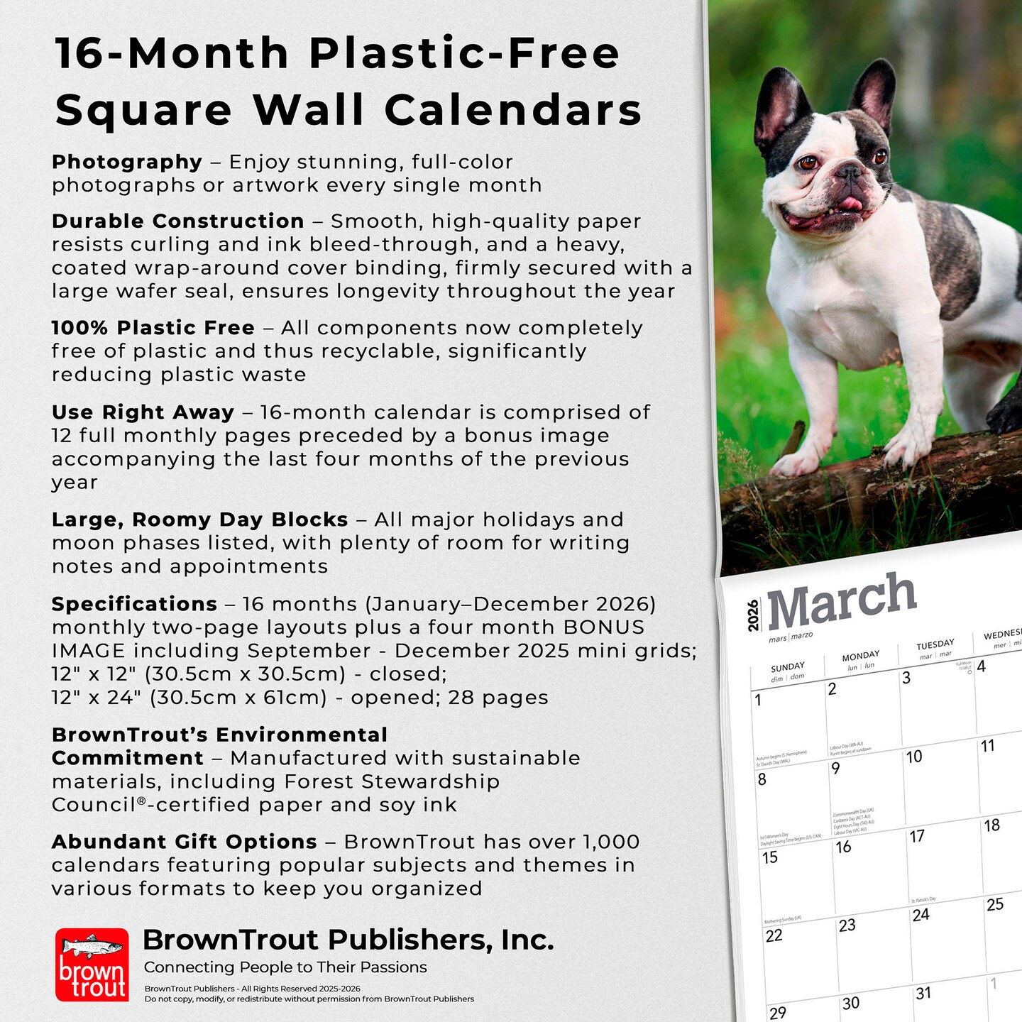 French Bulldogs | 2026 12 x 24 Inch (Hanging) Monthly Square Wall Calendar | Plastic-Free