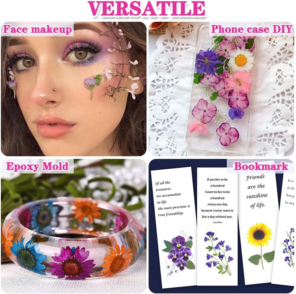 170Pcs+ Real Dried Pressed Flowers Leaves Petals for Crafts-Beautiful Pressed Flowers Daisies for Resin Jewellery