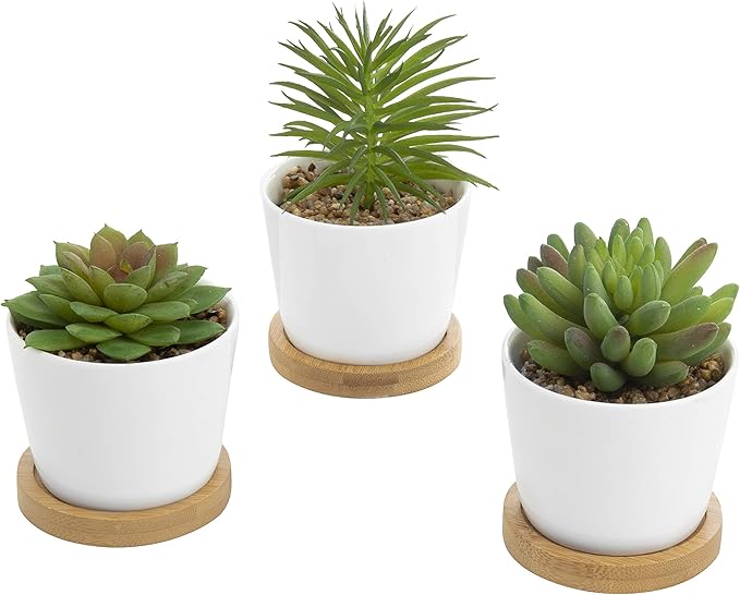 Assorted Artificial Succulent Plants - Decorative Fake Desert Plants with Pebble Fillers in White Ceramic Pots with Bamboo Saucers, Set of 3