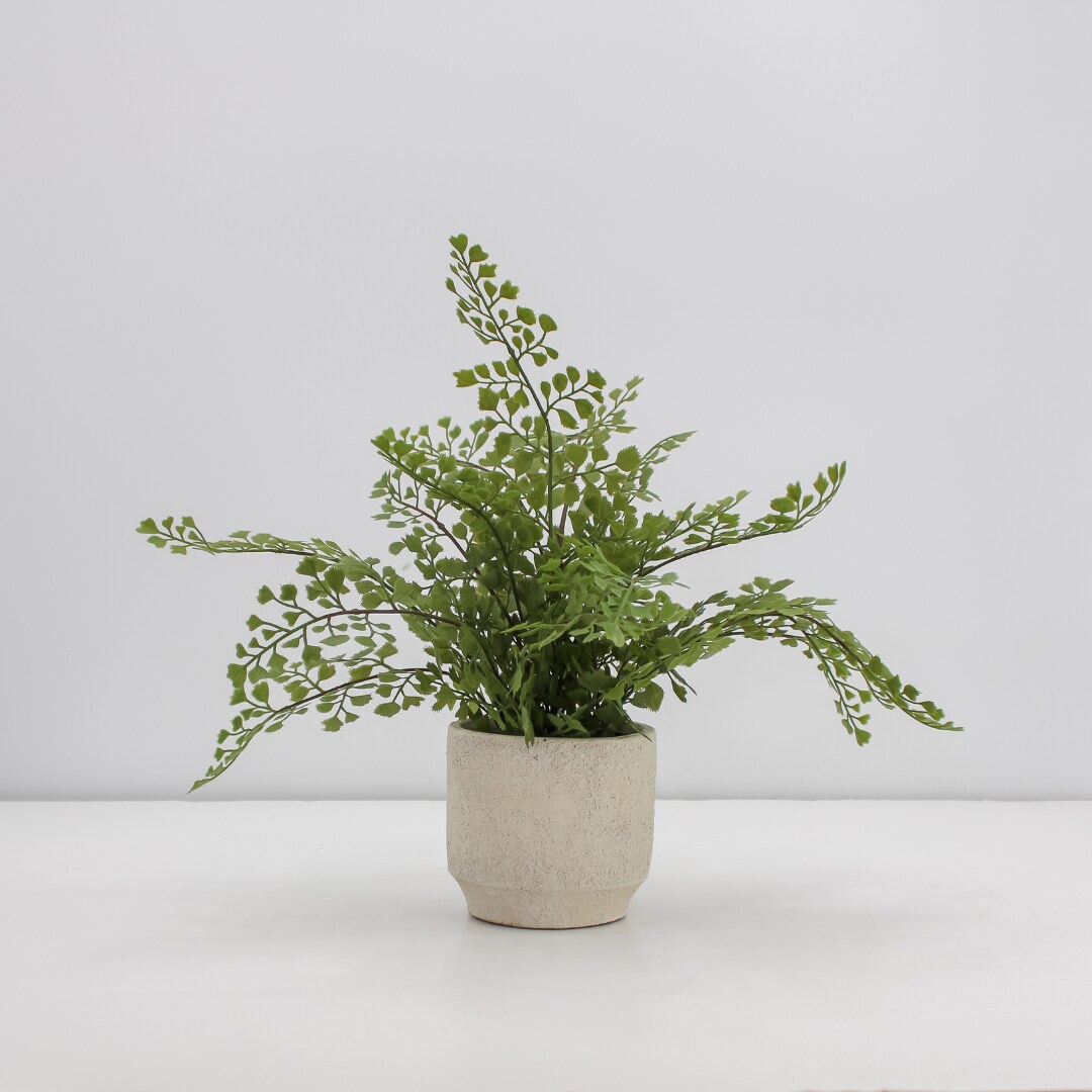 16&#x22; Faux Snake Plant &#x26; Fern Set