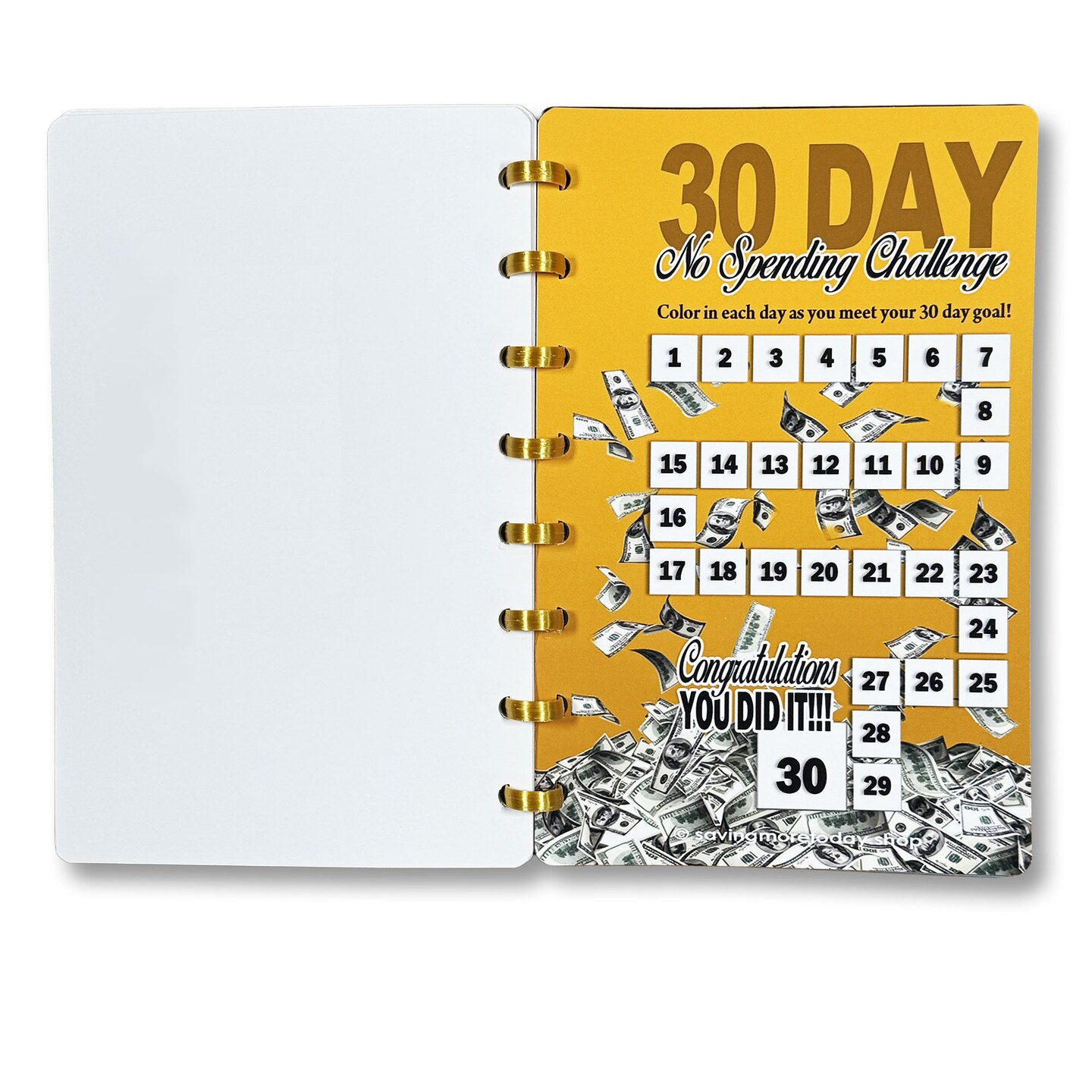 A5 size Binder with 10 Pages of Savings Challenges!!! Great saving