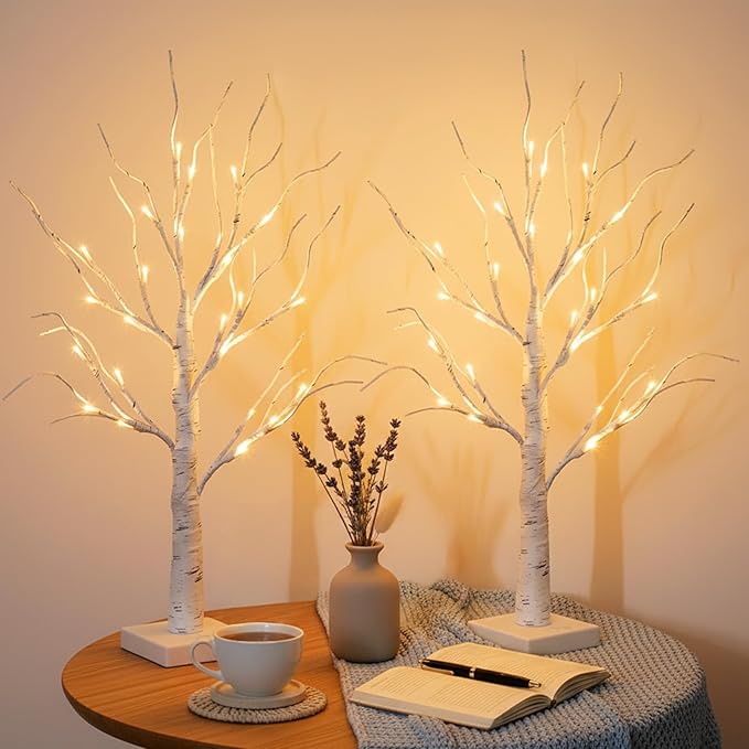 Lighted Birch Tree Home Decor, Christmas Decorations Indoor 2Pack 24 LED Light Up Tabletop Mini Small Artificial White Trees Lamp with Lights Battery Operated/USB for Table Mantel (2FT)