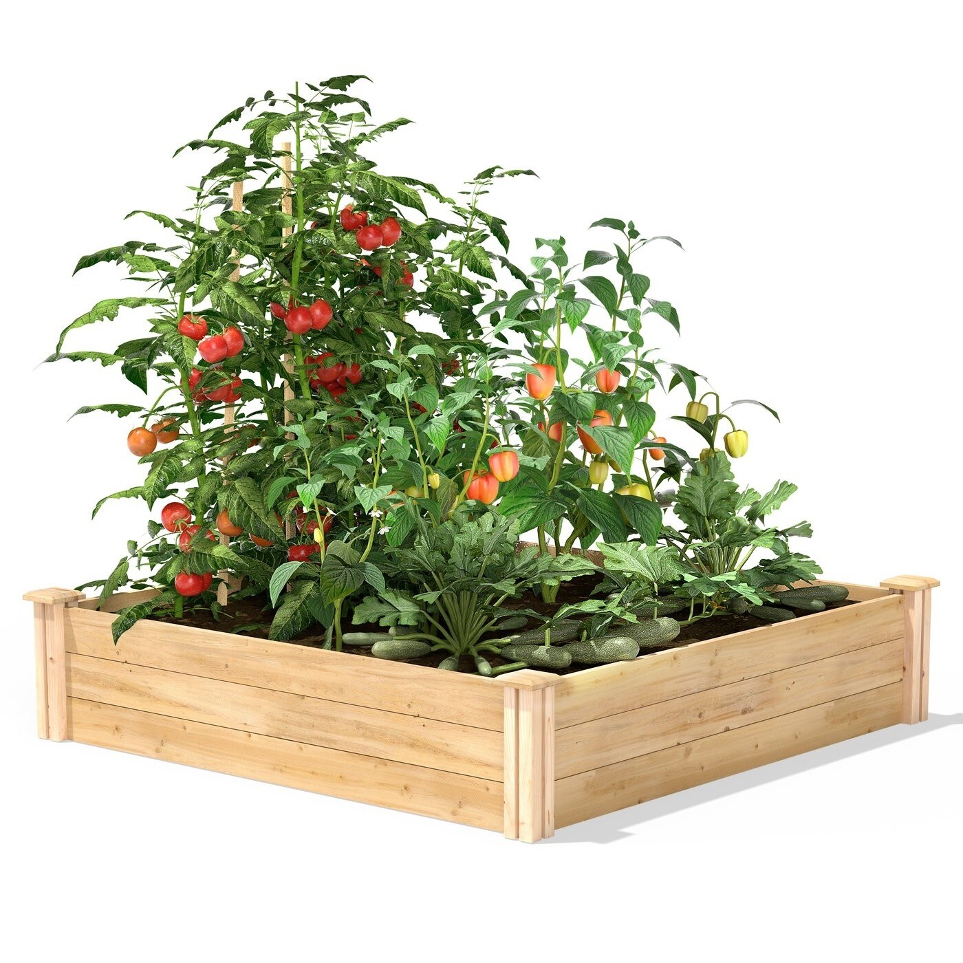 Natural Pine Wood 4x4 Raised Garden Bed Planter Box