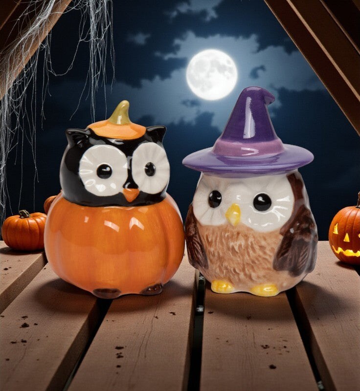 Ceramic Witch Owl And Pumpkin Owl Salt And Pepper Shakers, Gift for Her, Gift for Mom, Kitchen Décor, Fall Décor, Halloween Décor