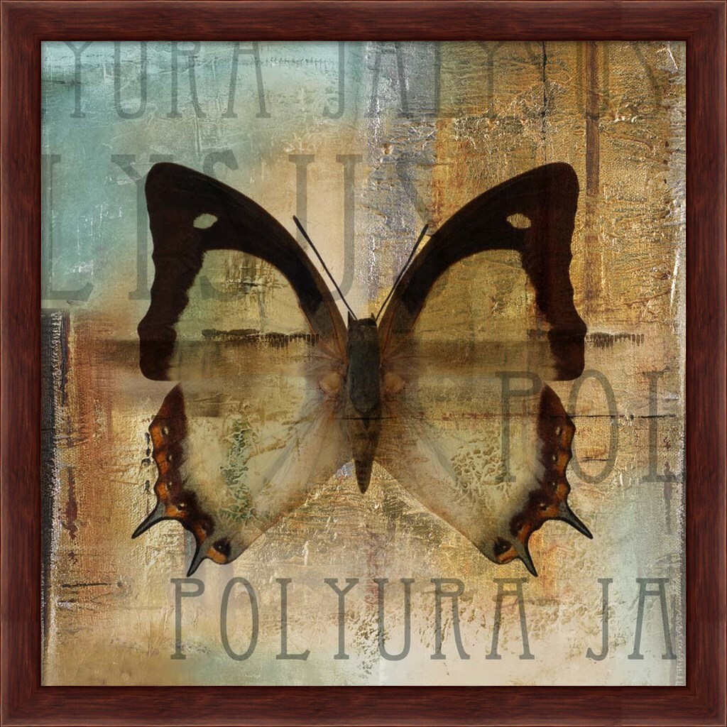 Polyurabutterfly I by Patricia Pinto 13&#x22; x 13&#x22; Framed Wall Art