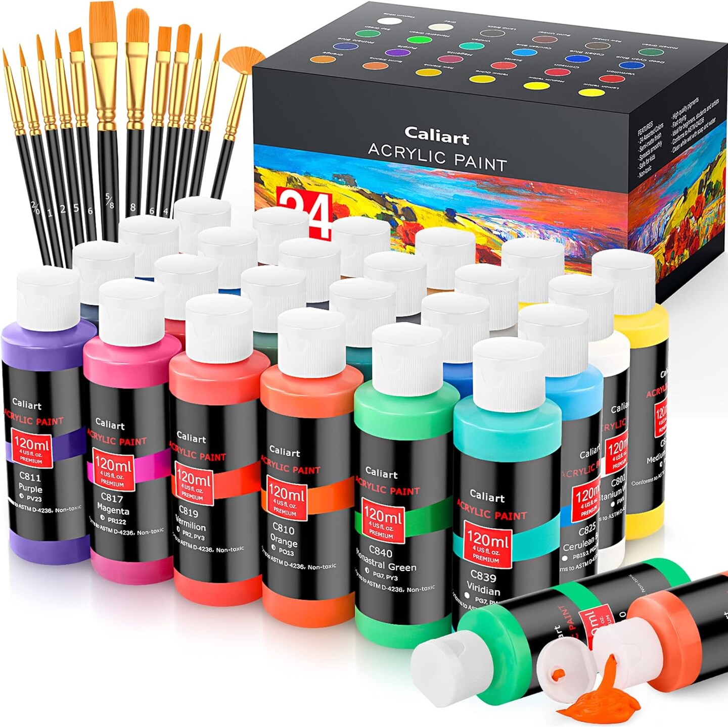 Acrylic Paint Set with 12 Brushes, 24 Colors (120ml, 4oz), for Artists, Kids, Beginners, Mother's Day Gift