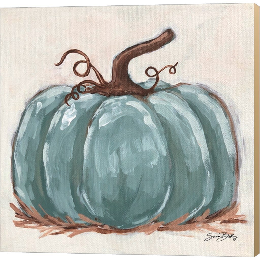 Pumpkin Close-Up III by Sara Baker 12&#x22; x 12&#x22; Canvas Wall Art