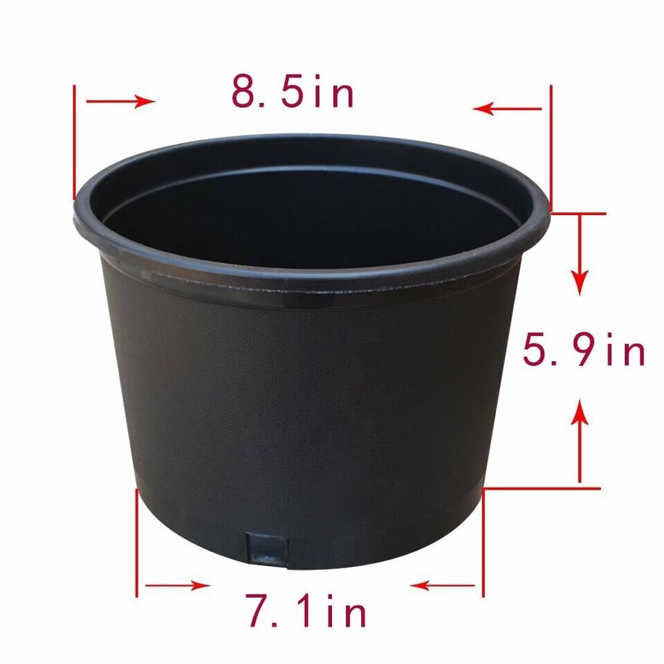Squat Heavy Duty Premium Black Plastic Nursery Plant Container Garden Pot 2gal