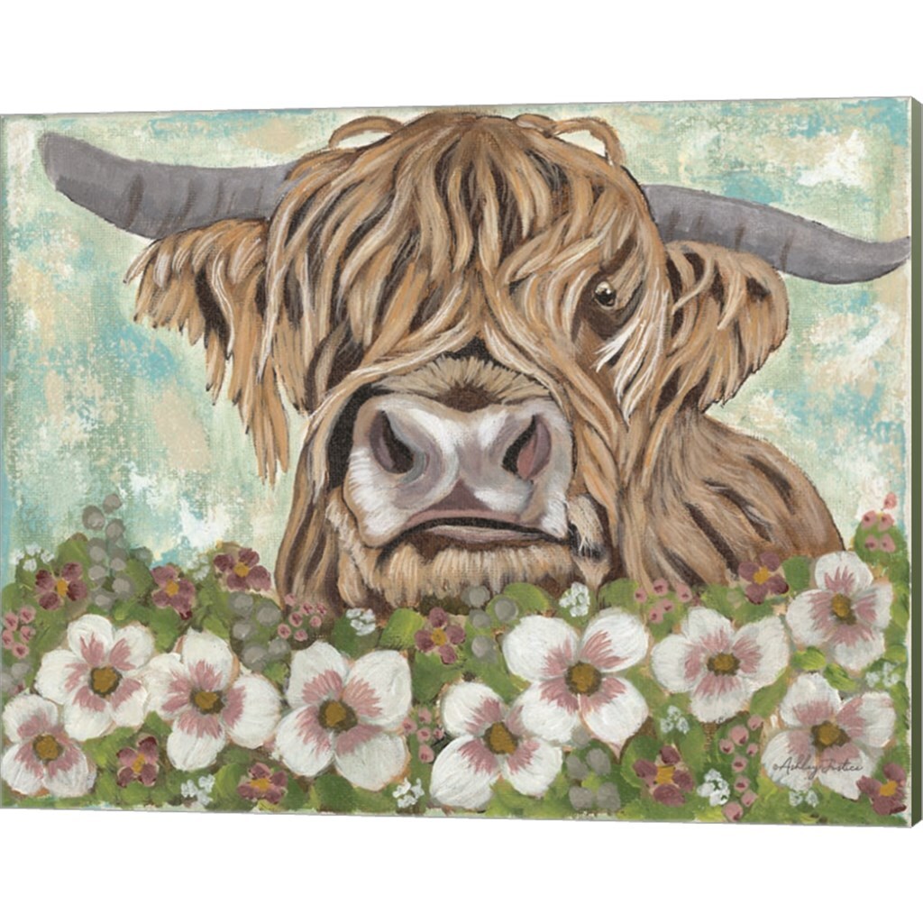 Floral Highland Cow by Ashley Justice 20" x 16" Canvas Wall Art